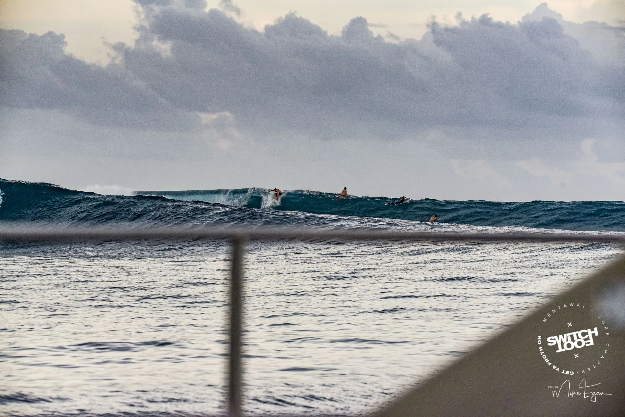 DSC_7914.jpg