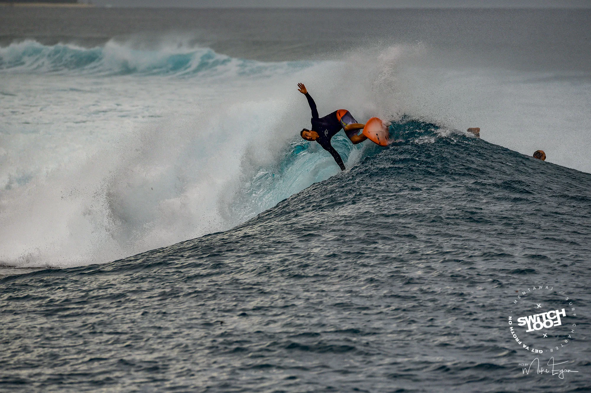DSC_8184.jpg
