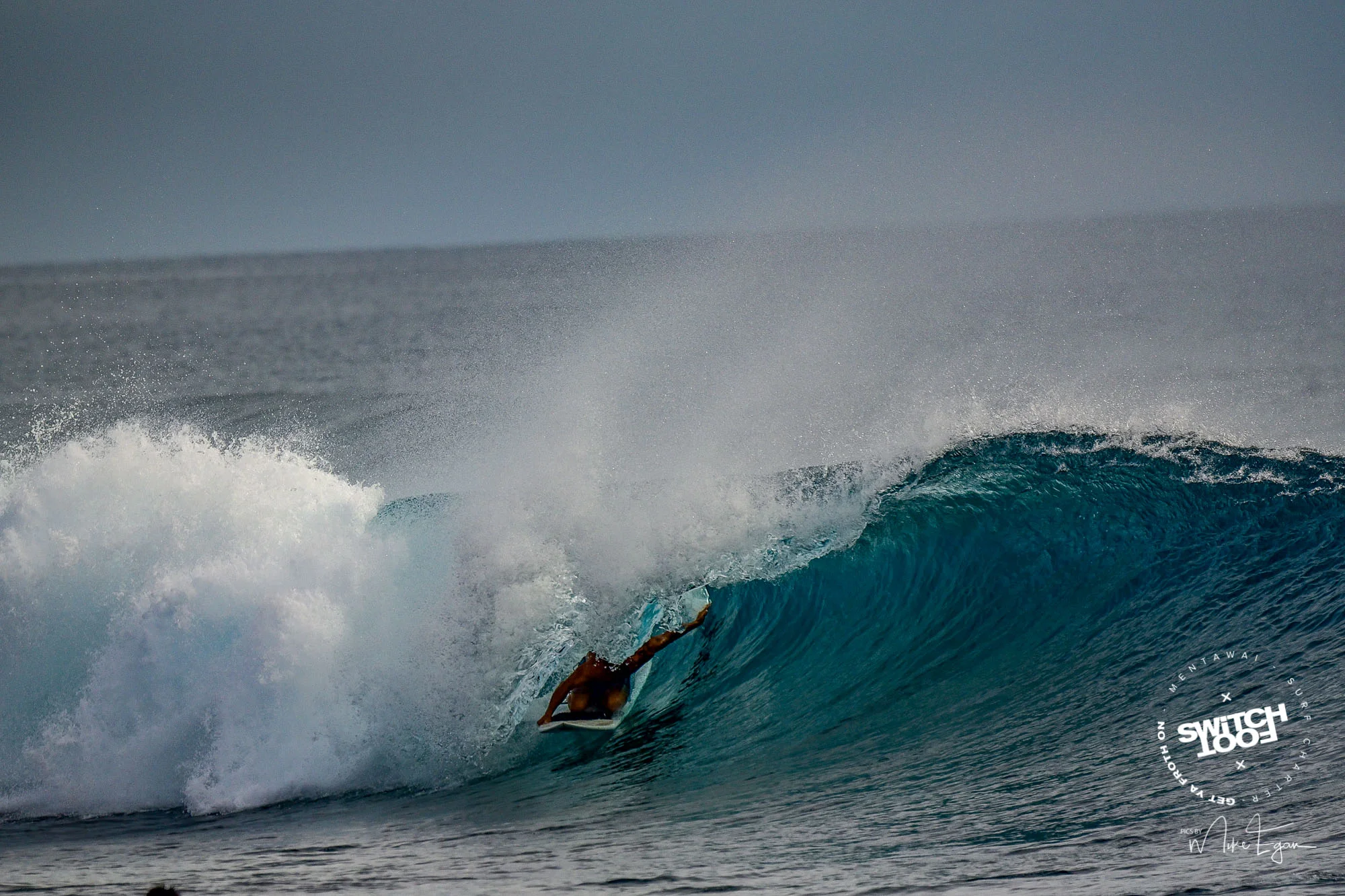 DSC_8530.jpg