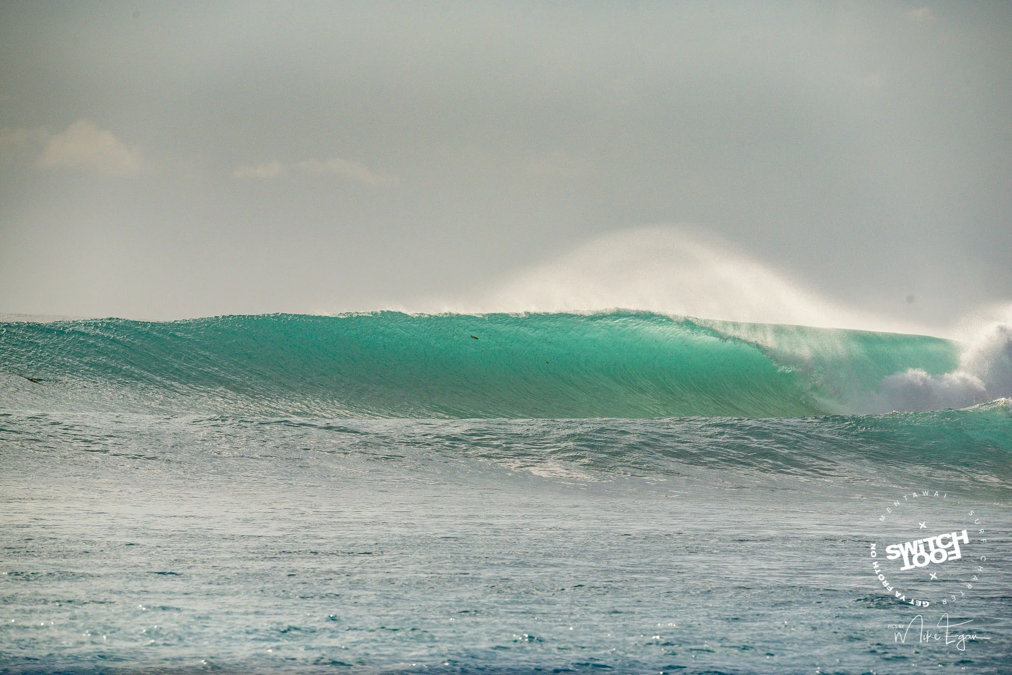 DSC_9806.jpg