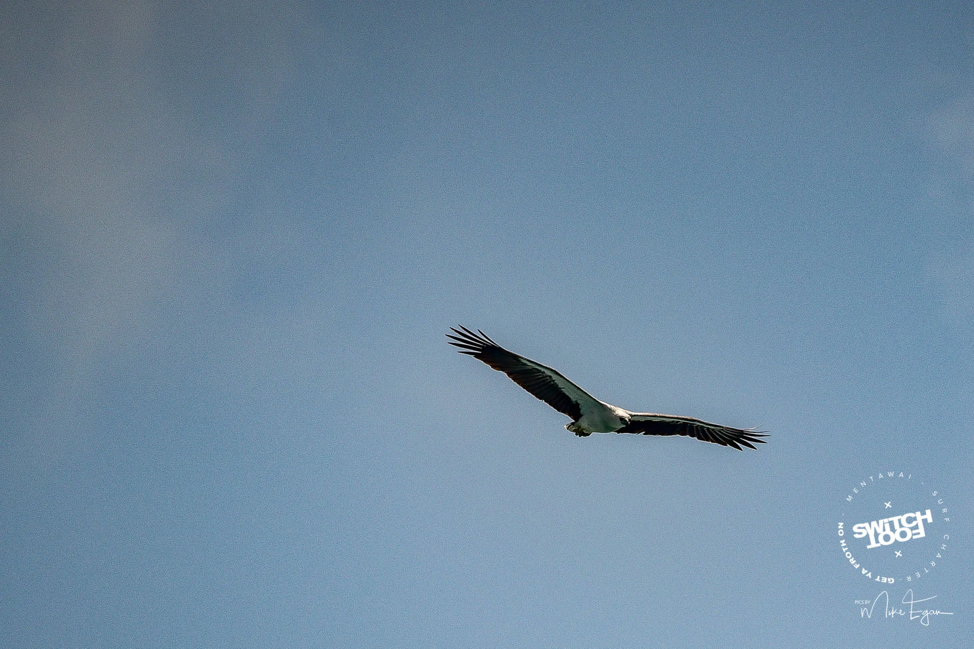 DSC_3737.jpg
