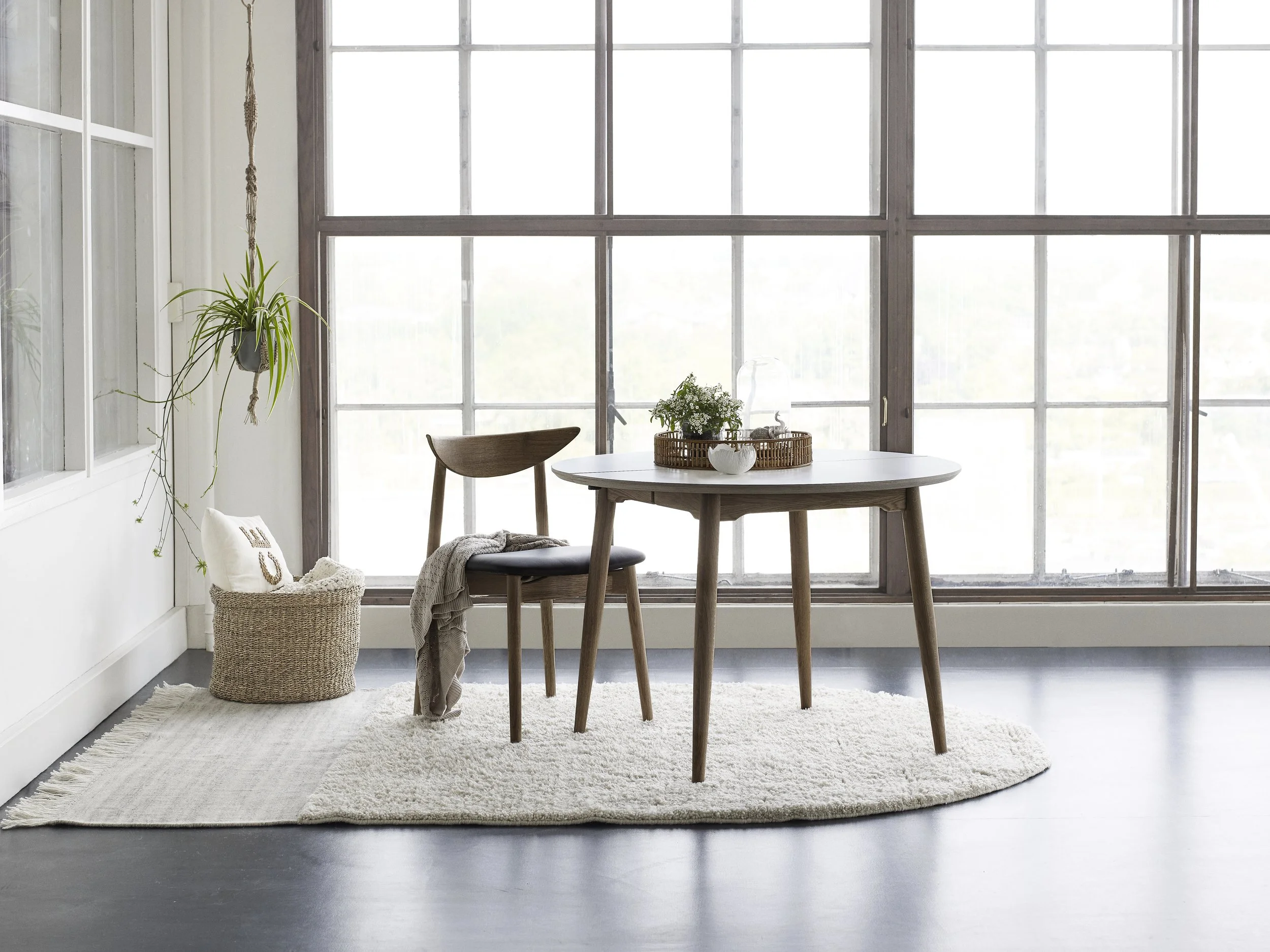 53677851331_e1f9950ff9_o - Copy.jpg