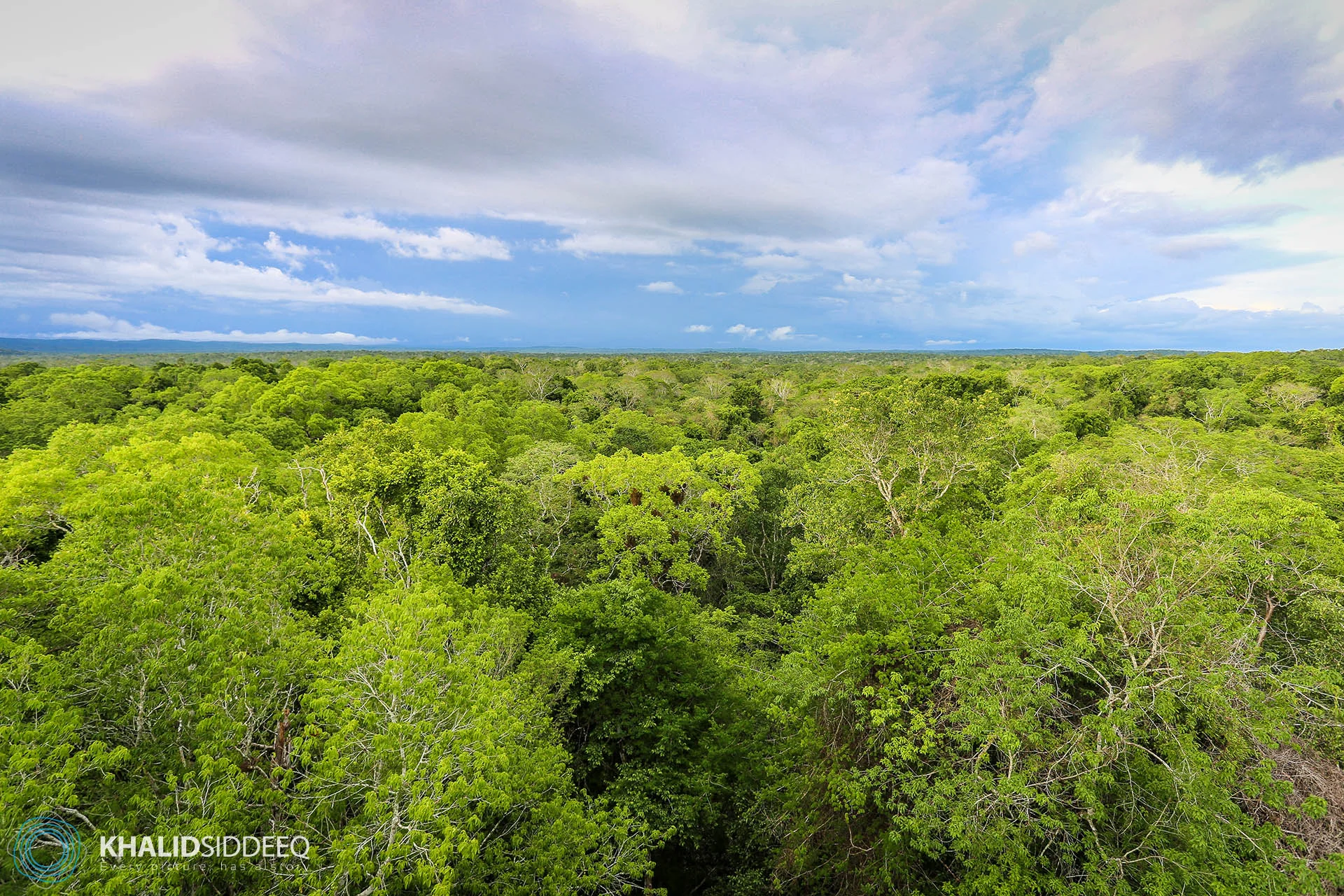 Yaxha Forest, Guatemala - غابات ياهسا، جواتيمالا