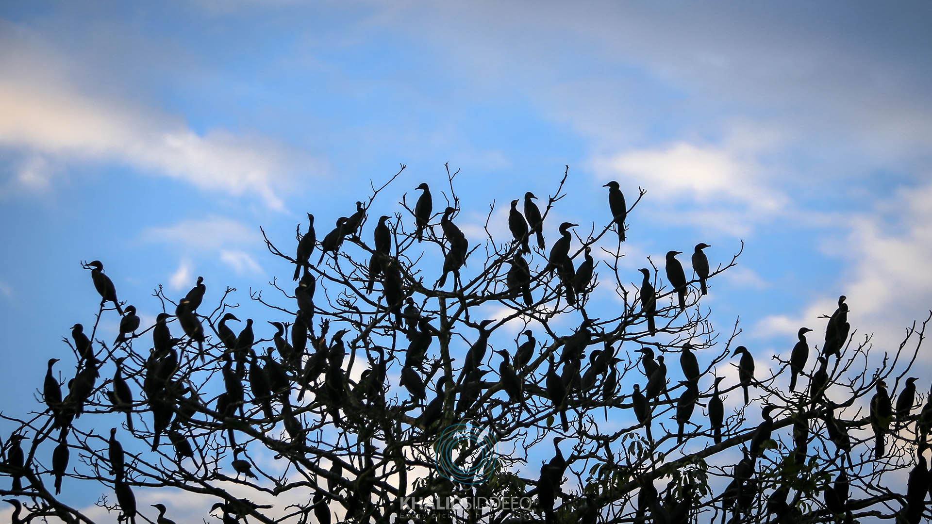 Amazonas 8.jpg