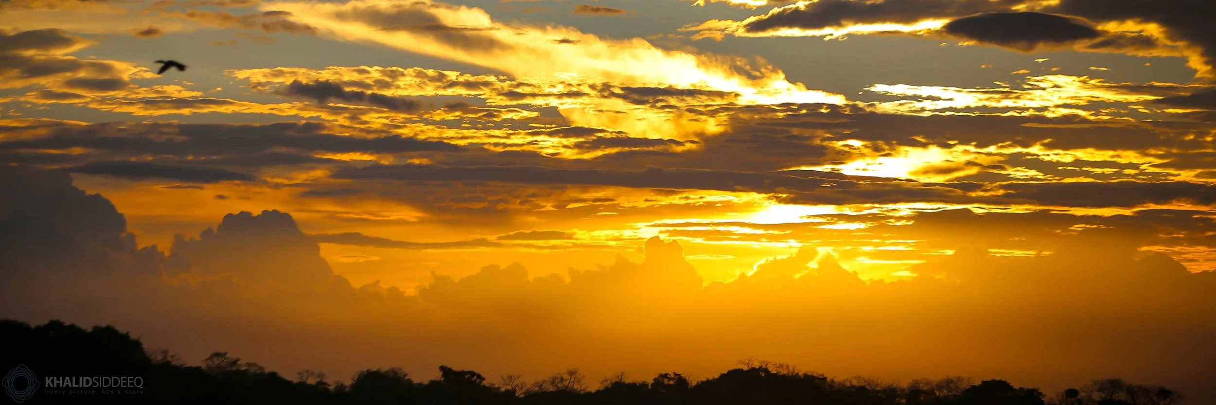 Amazonas 9.jpg