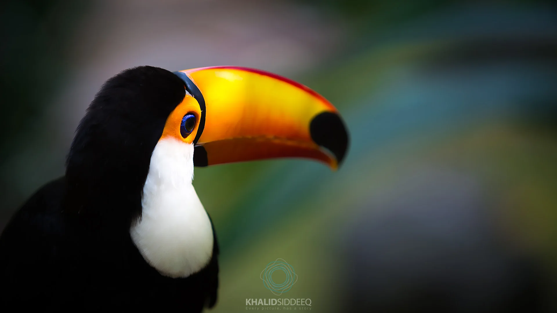 Iguacu-9.jpg