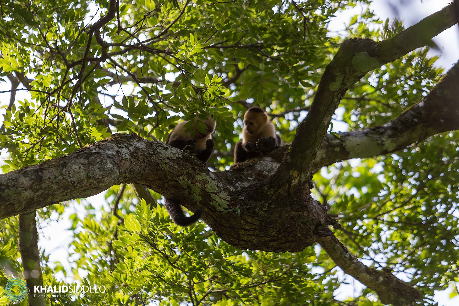 CostaRica-5.jpg