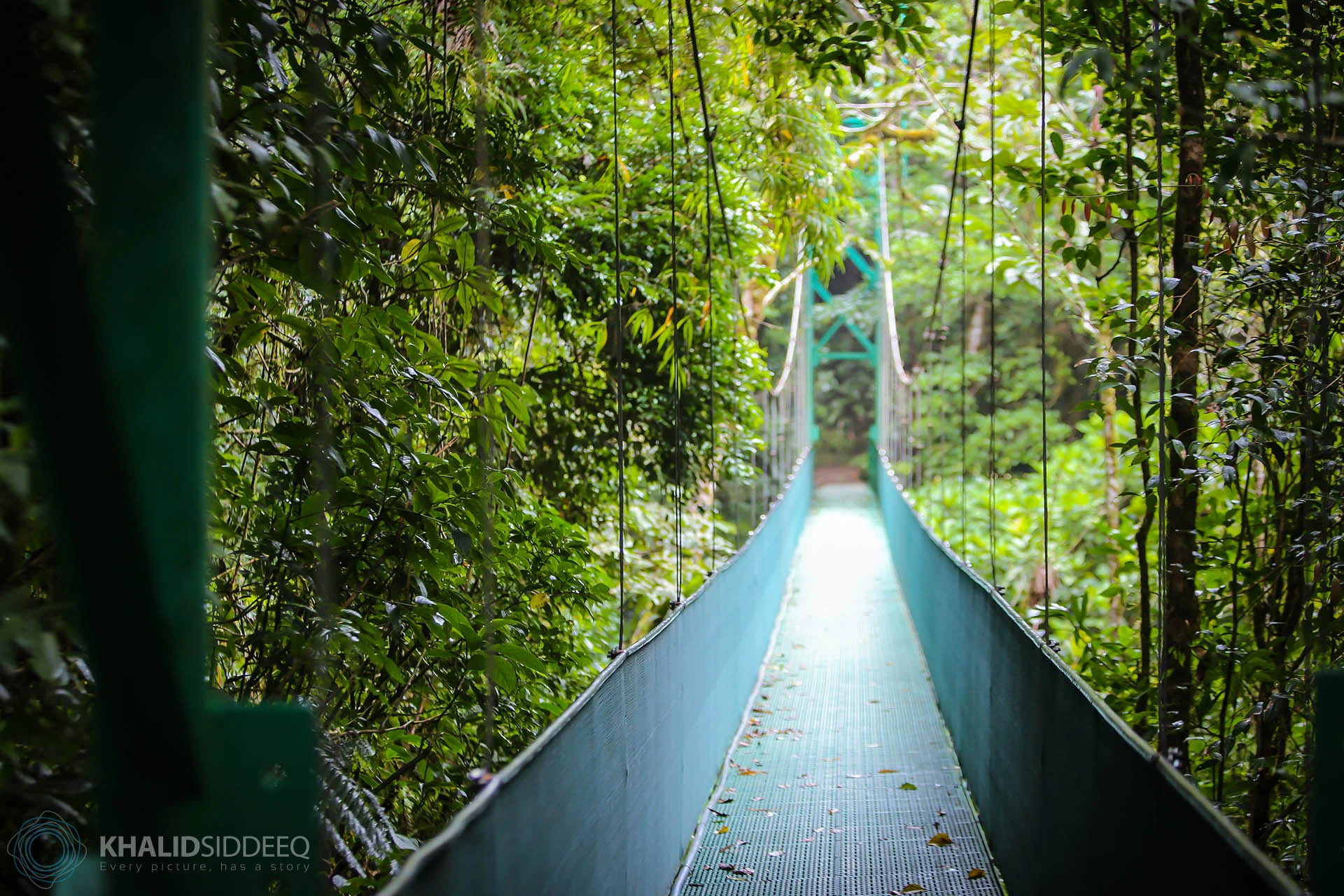 CostaRica-20.jpg