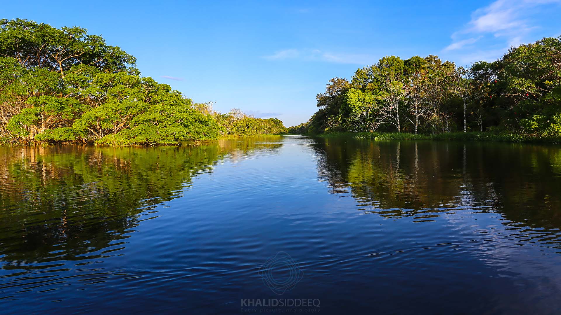 Amazonas.jpg