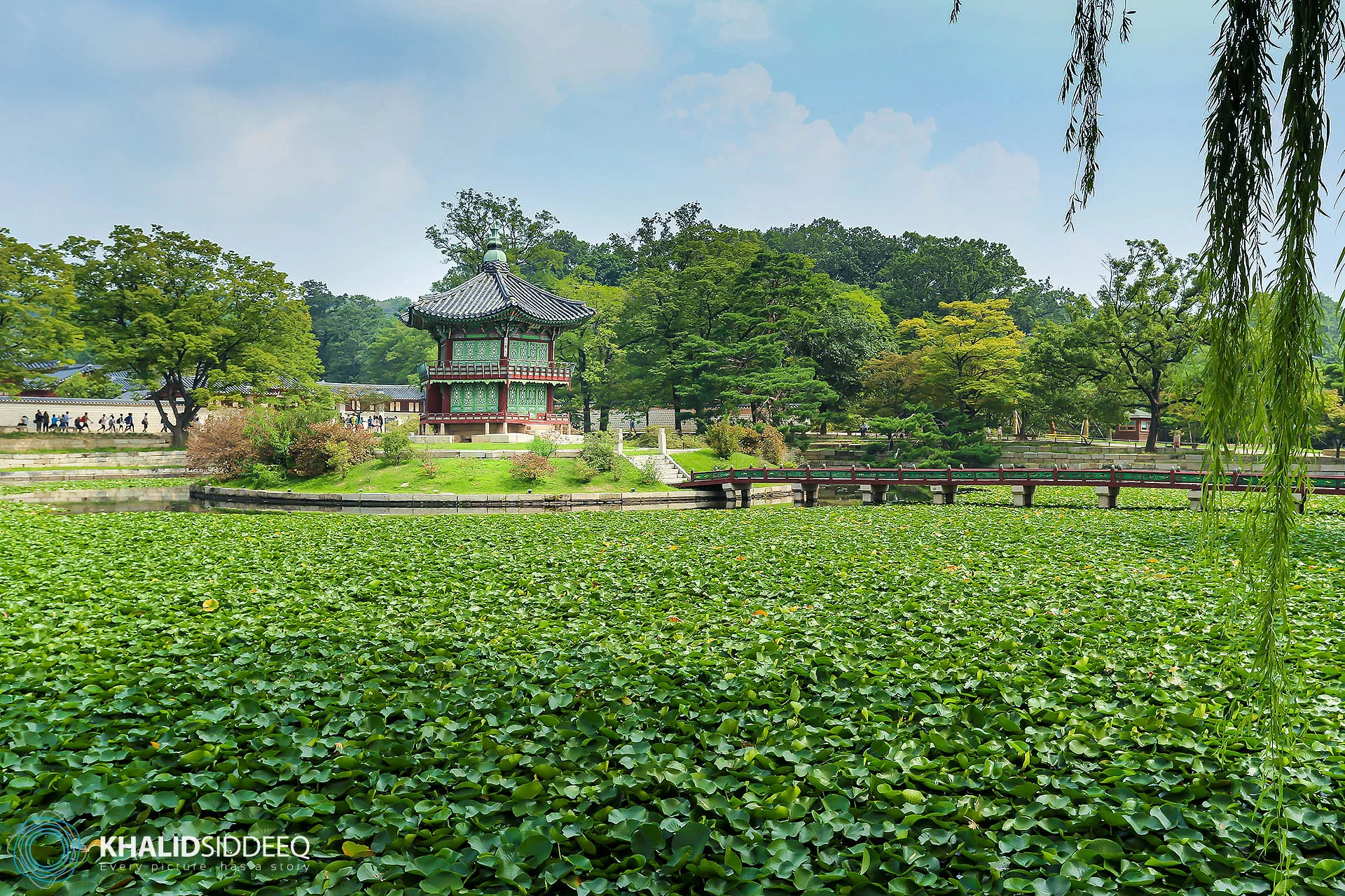 Korea-8.jpg