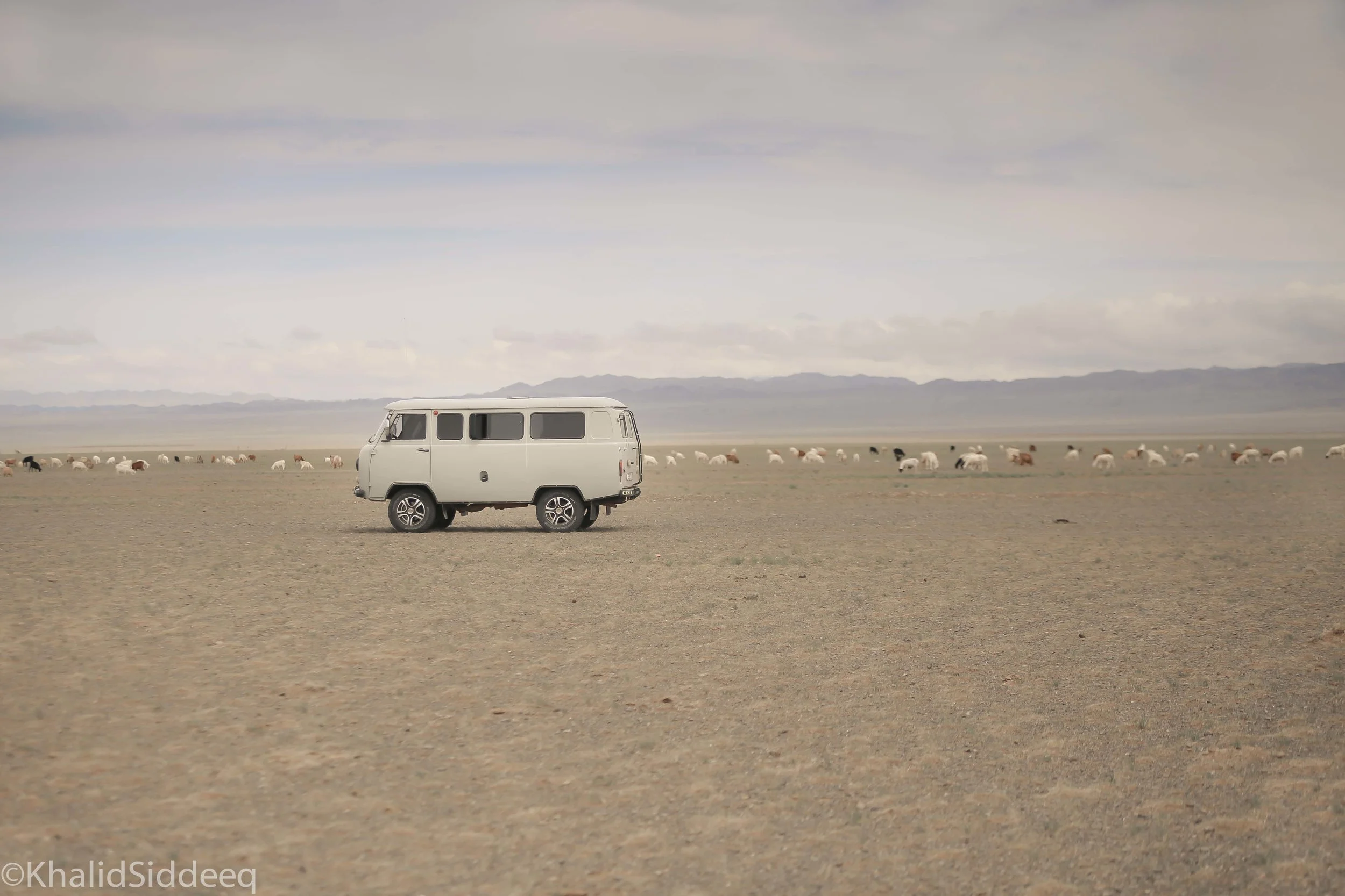 Mongolia-Right-27.jpg