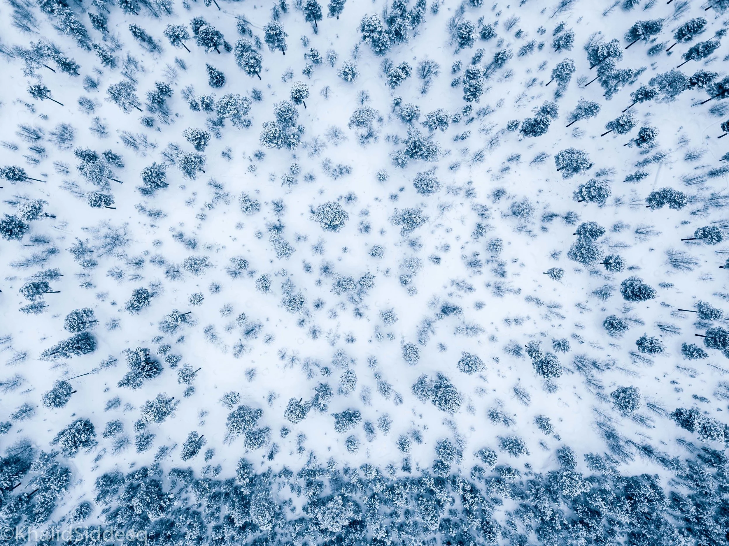 Finland-20.jpg