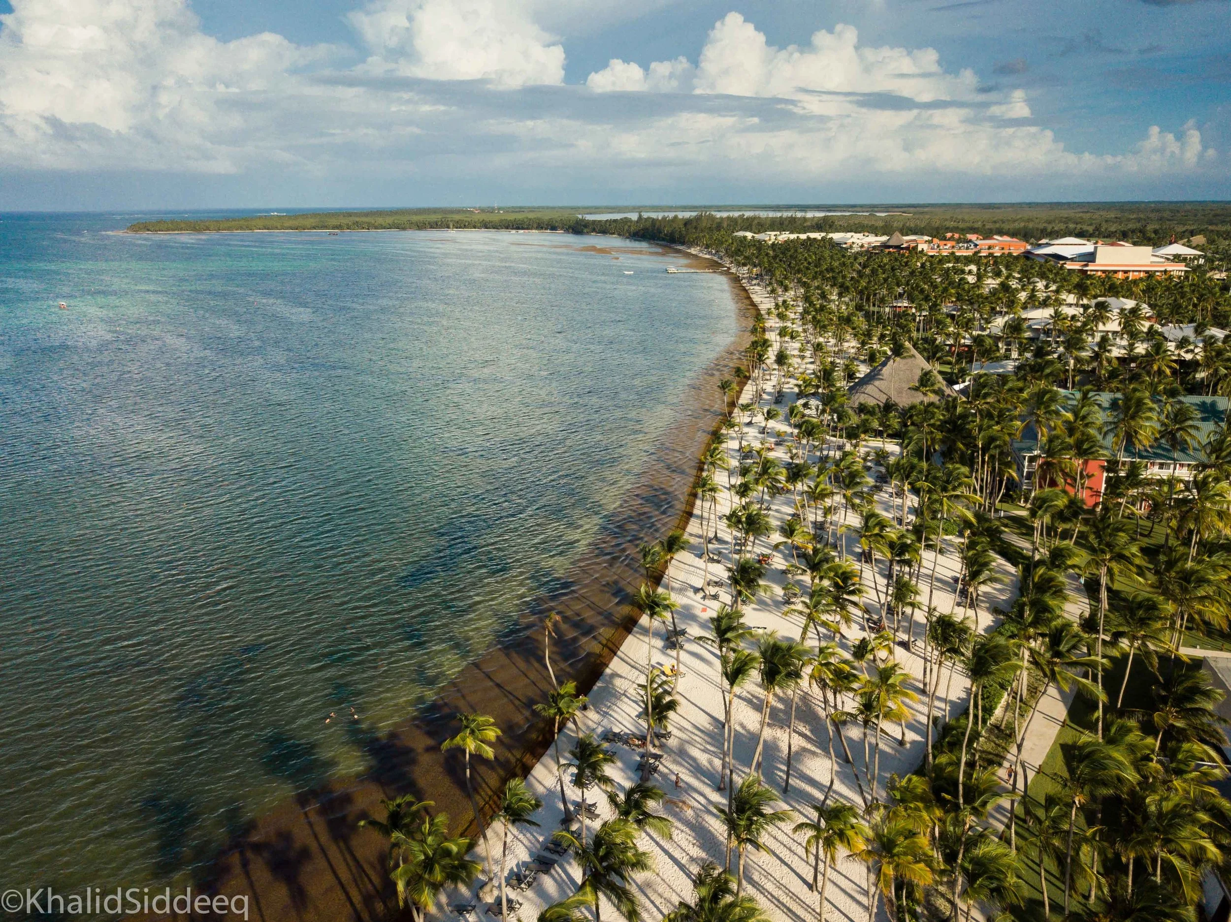 Dominicano-2.jpg