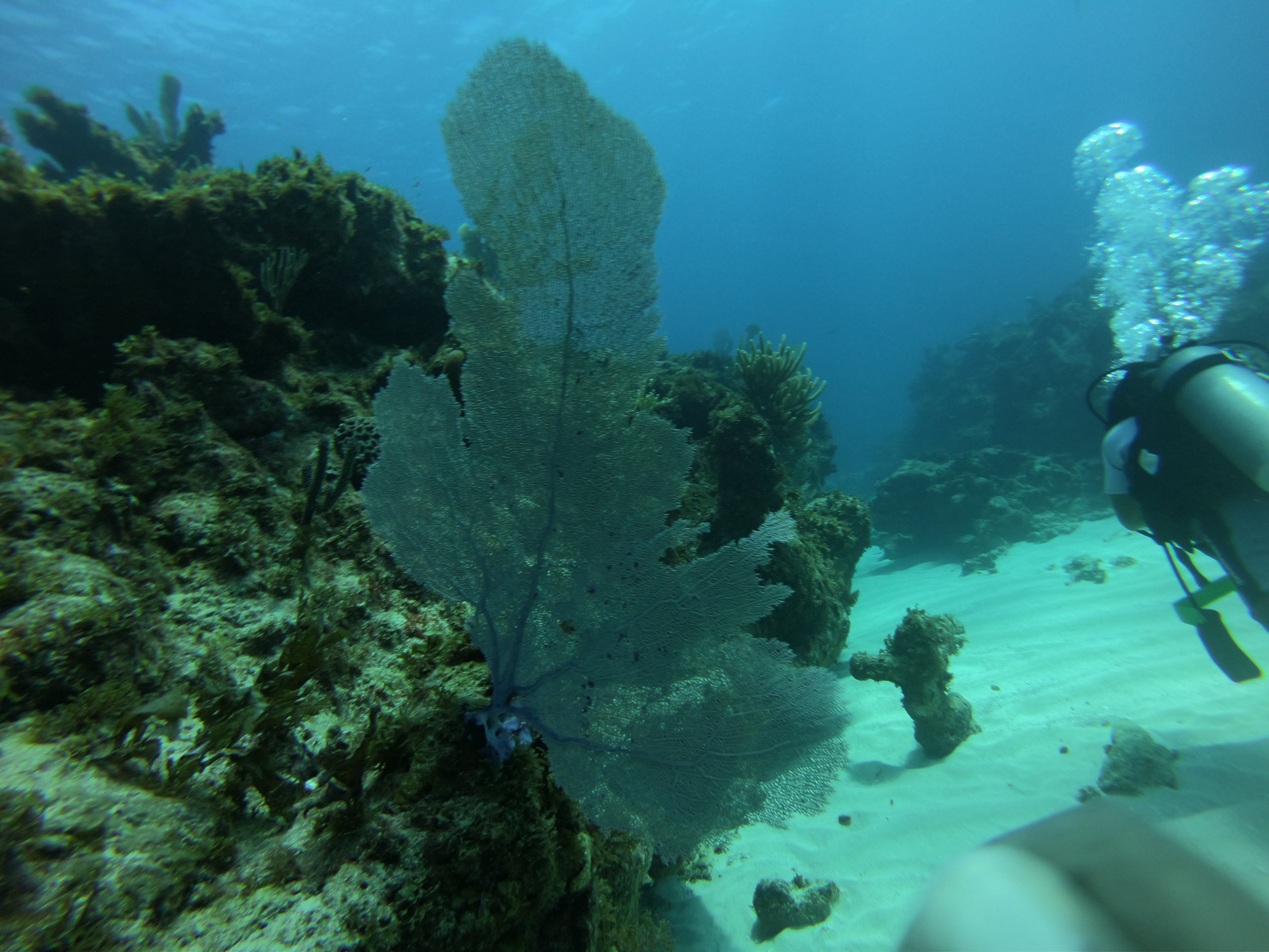 GOPR0572.JPG