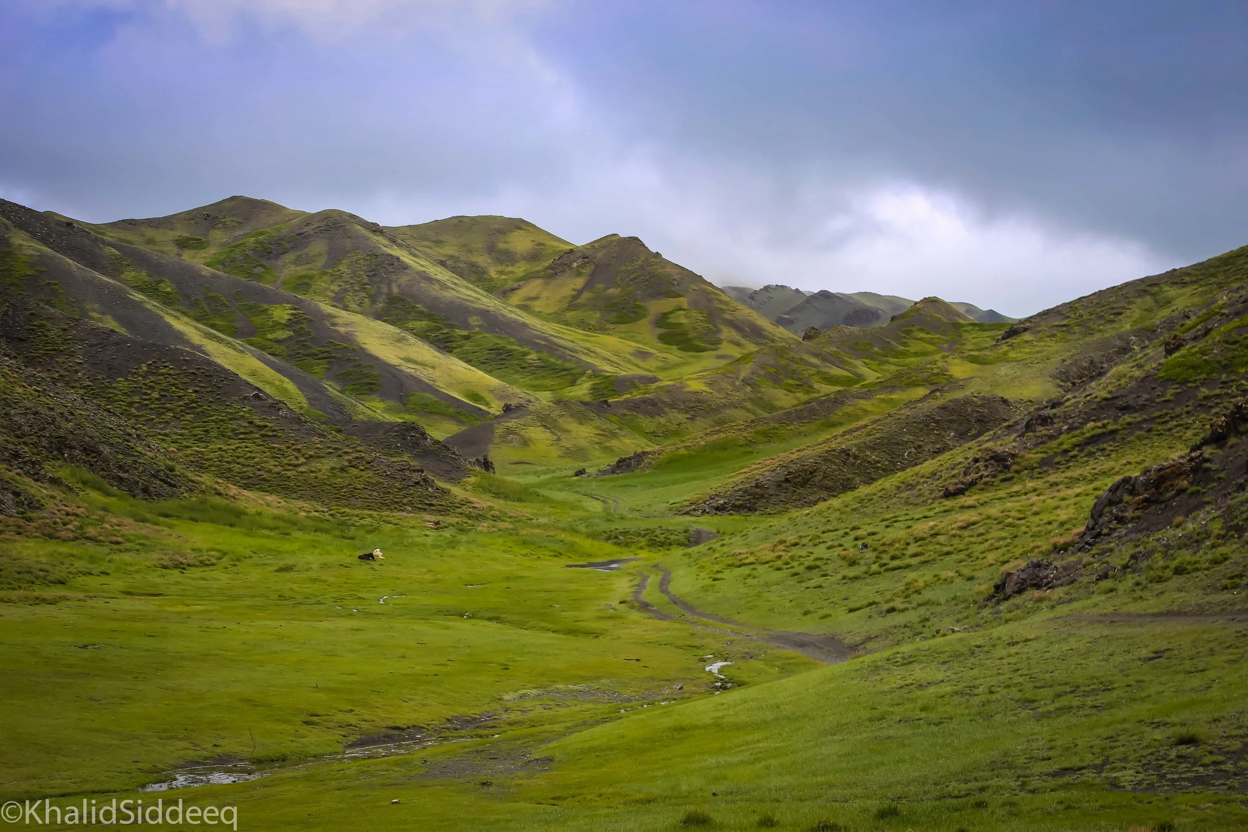 Mongolia-Right-21.jpg