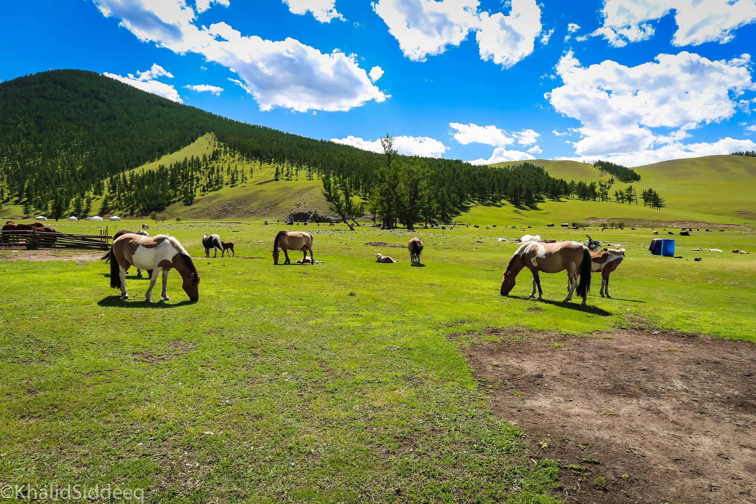 Mongolia-Right-61.jpg
