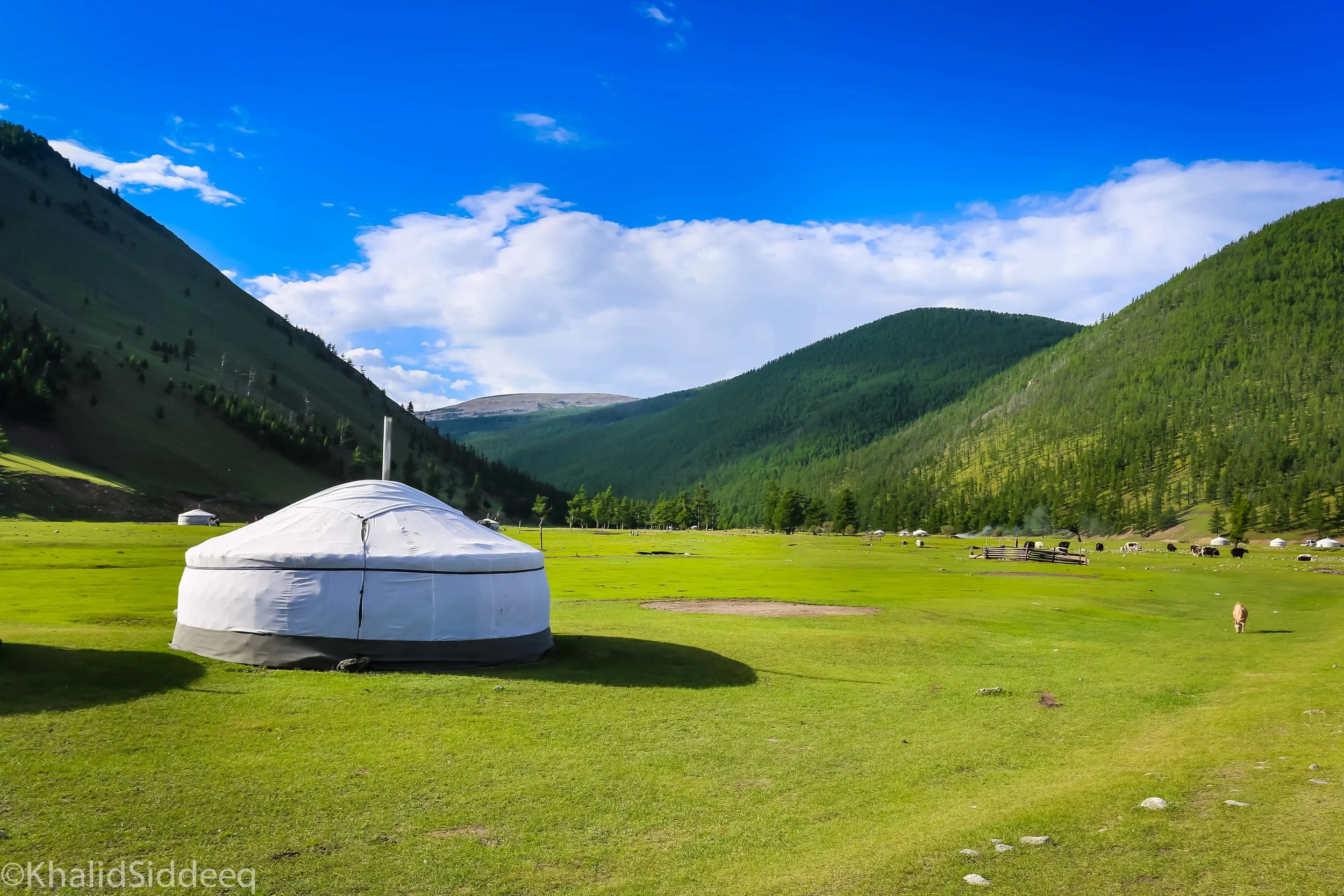 Mongolia-Right-72.jpg