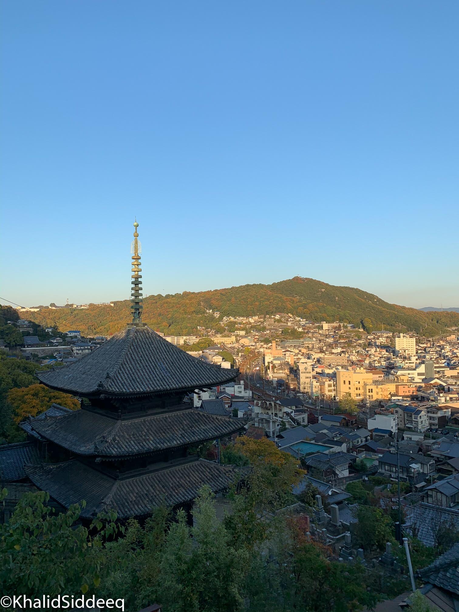 IMG_8079.jpg