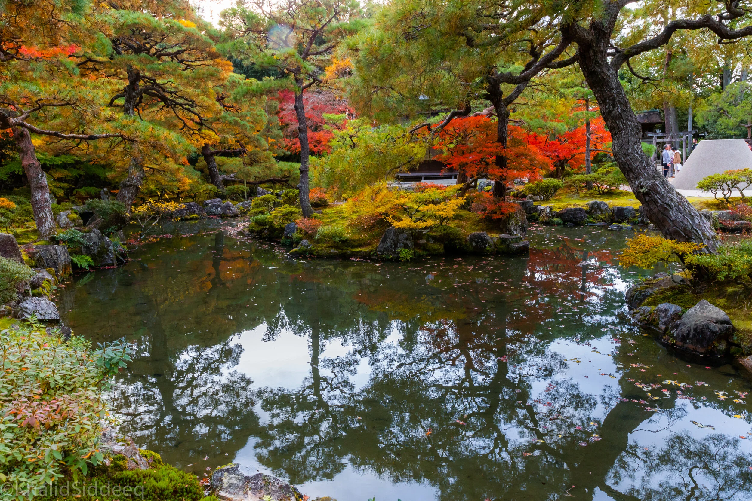 Japan-124.jpg