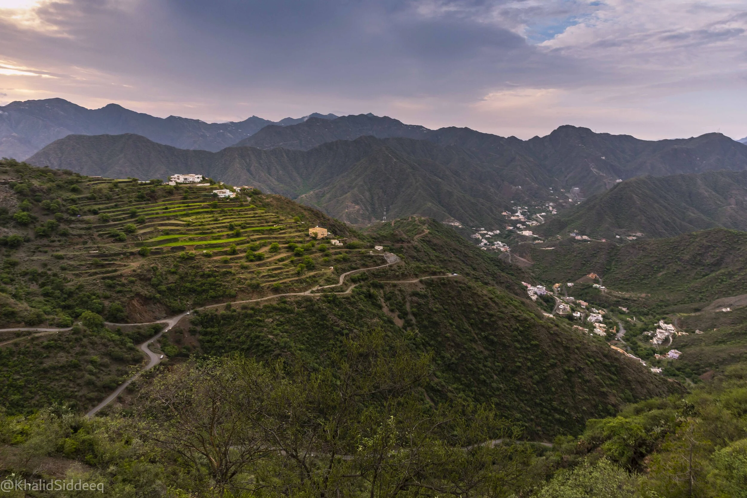 Hiswah 3.jpg