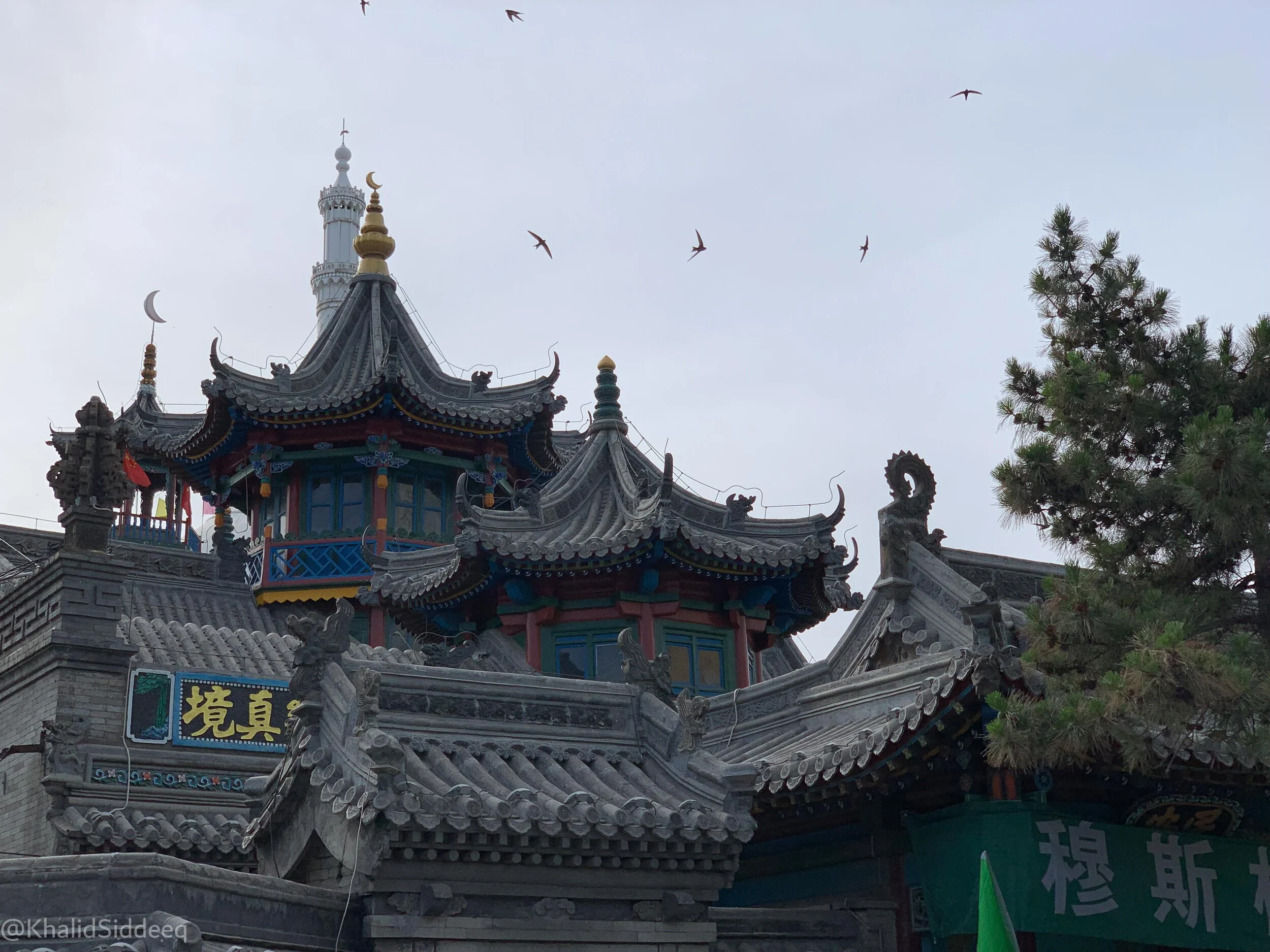 رمضان في بلاد التنين