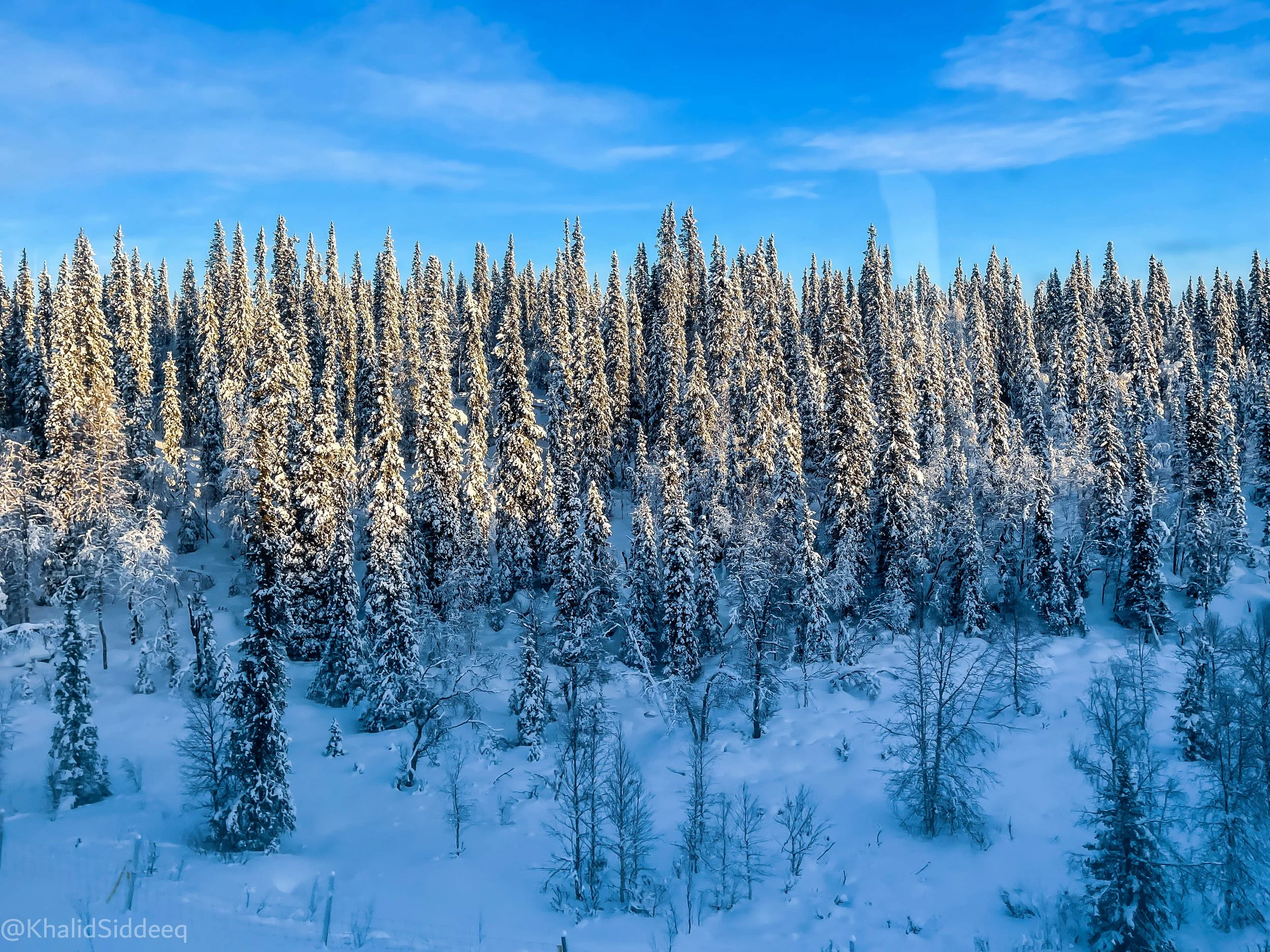 WinterSwedenBlog-16.jpg