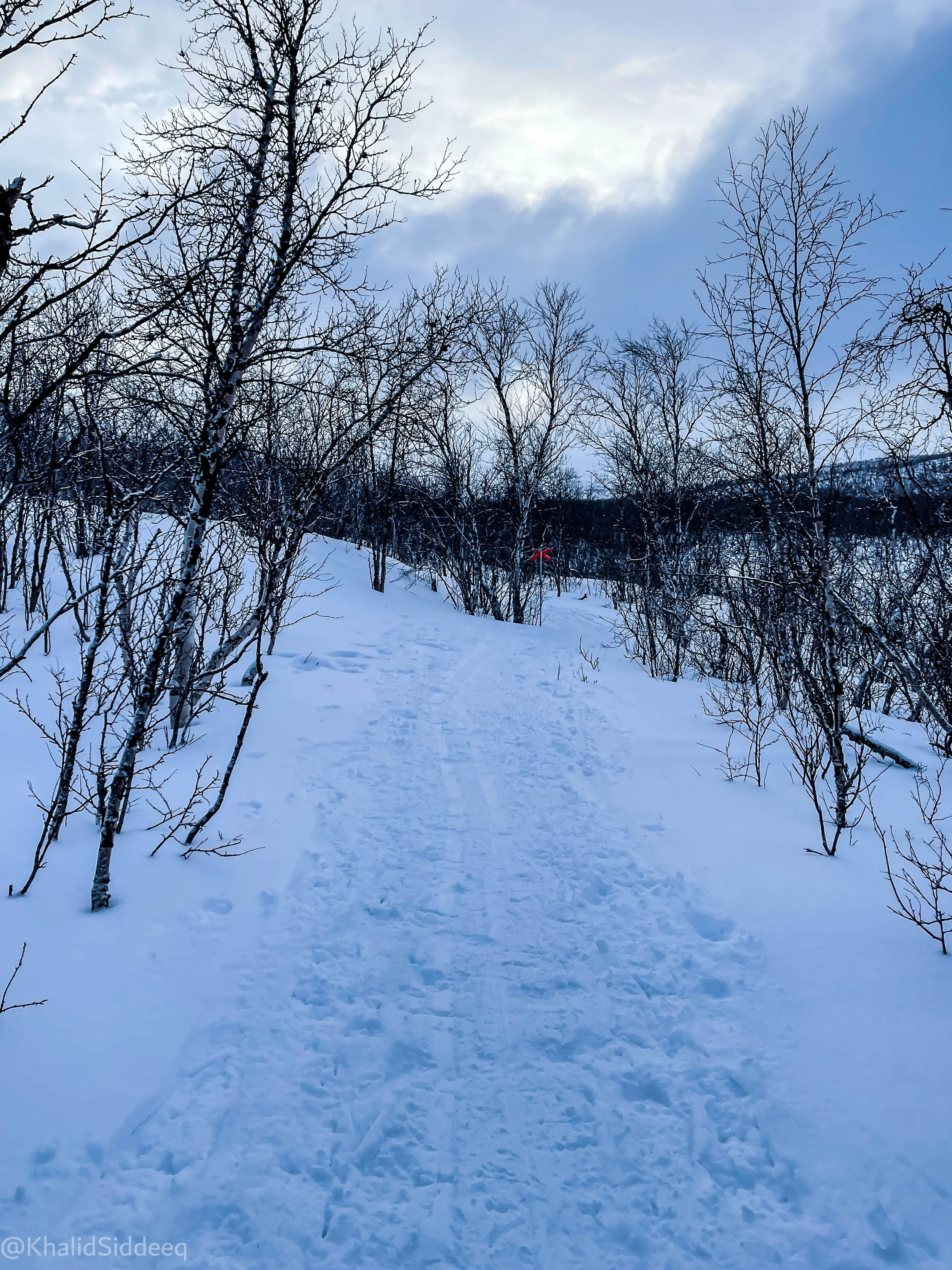 WinterSwedenBlog-65.jpg