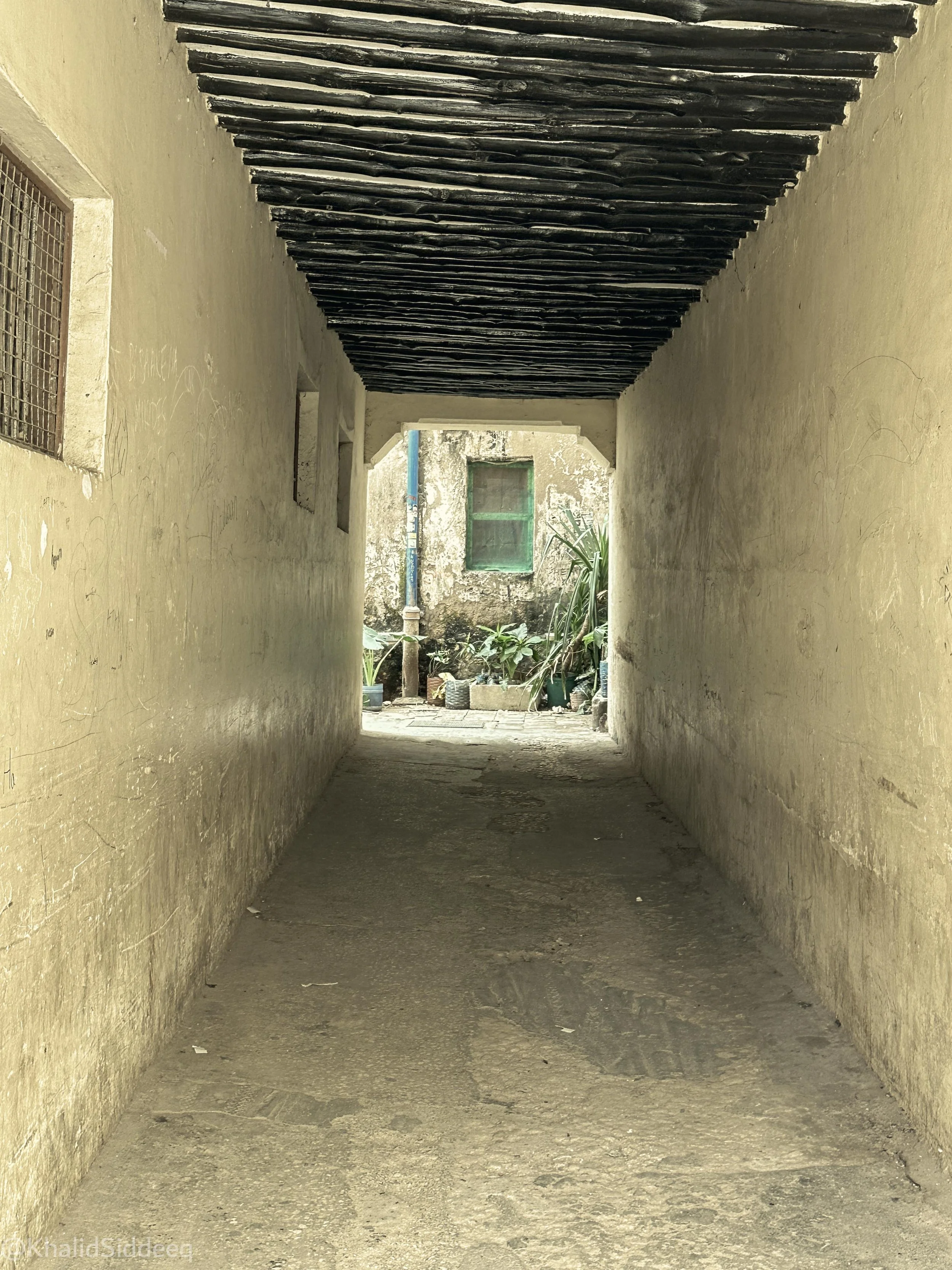 ZanzibarBlog-21.jpg