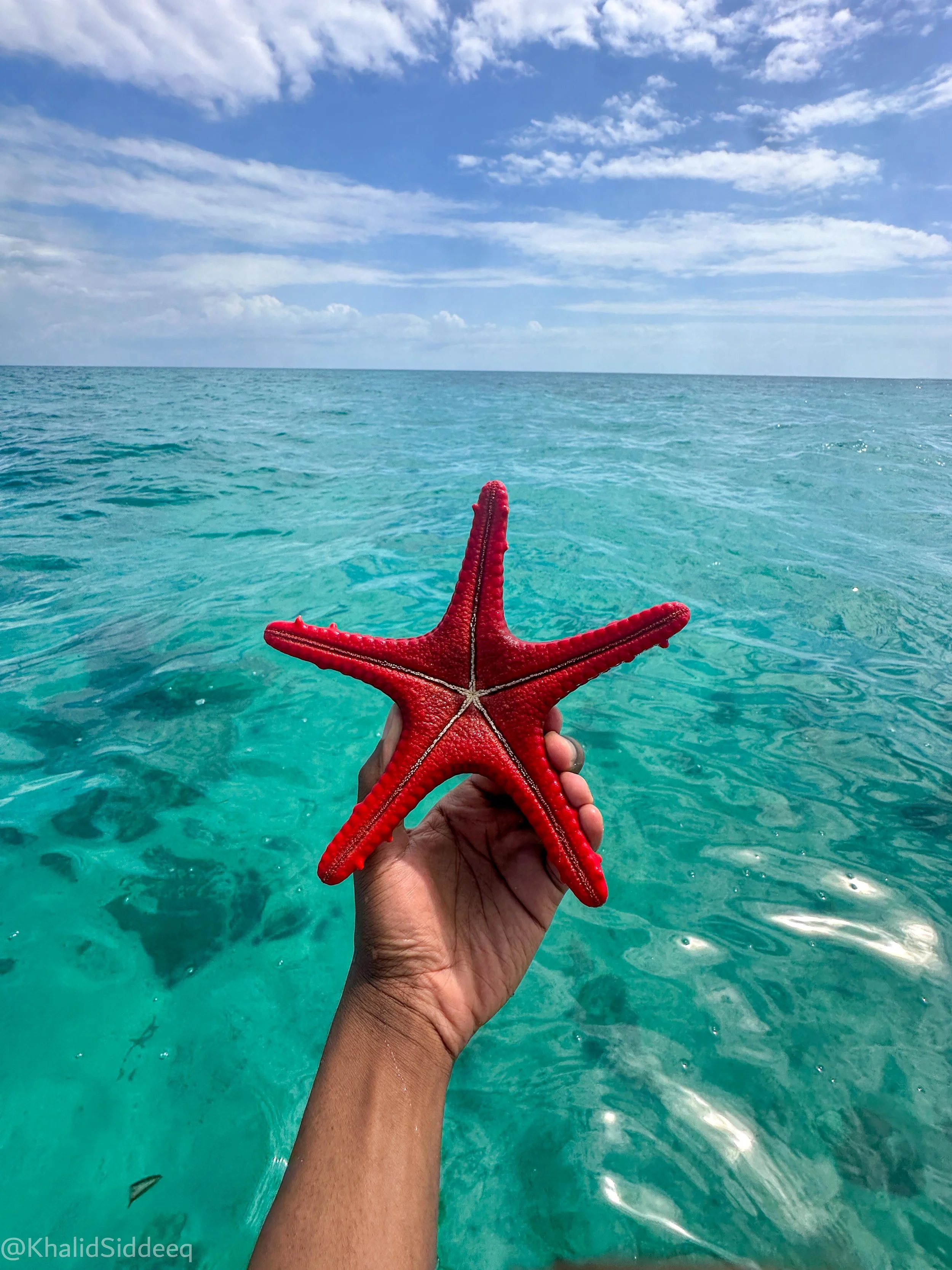 ZanzibarBlog-63.jpg