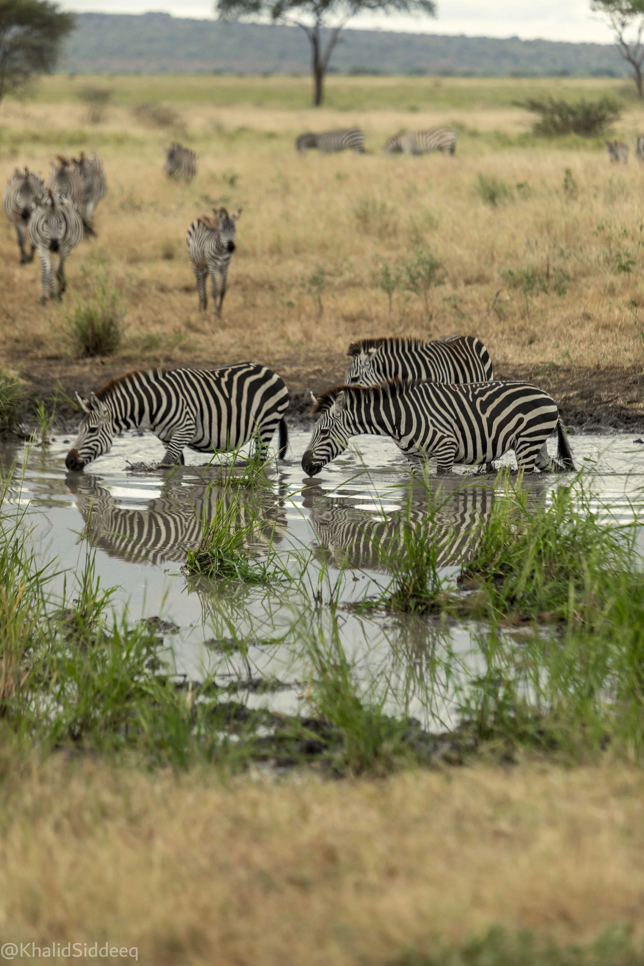 TanzaniaRights-51.jpg