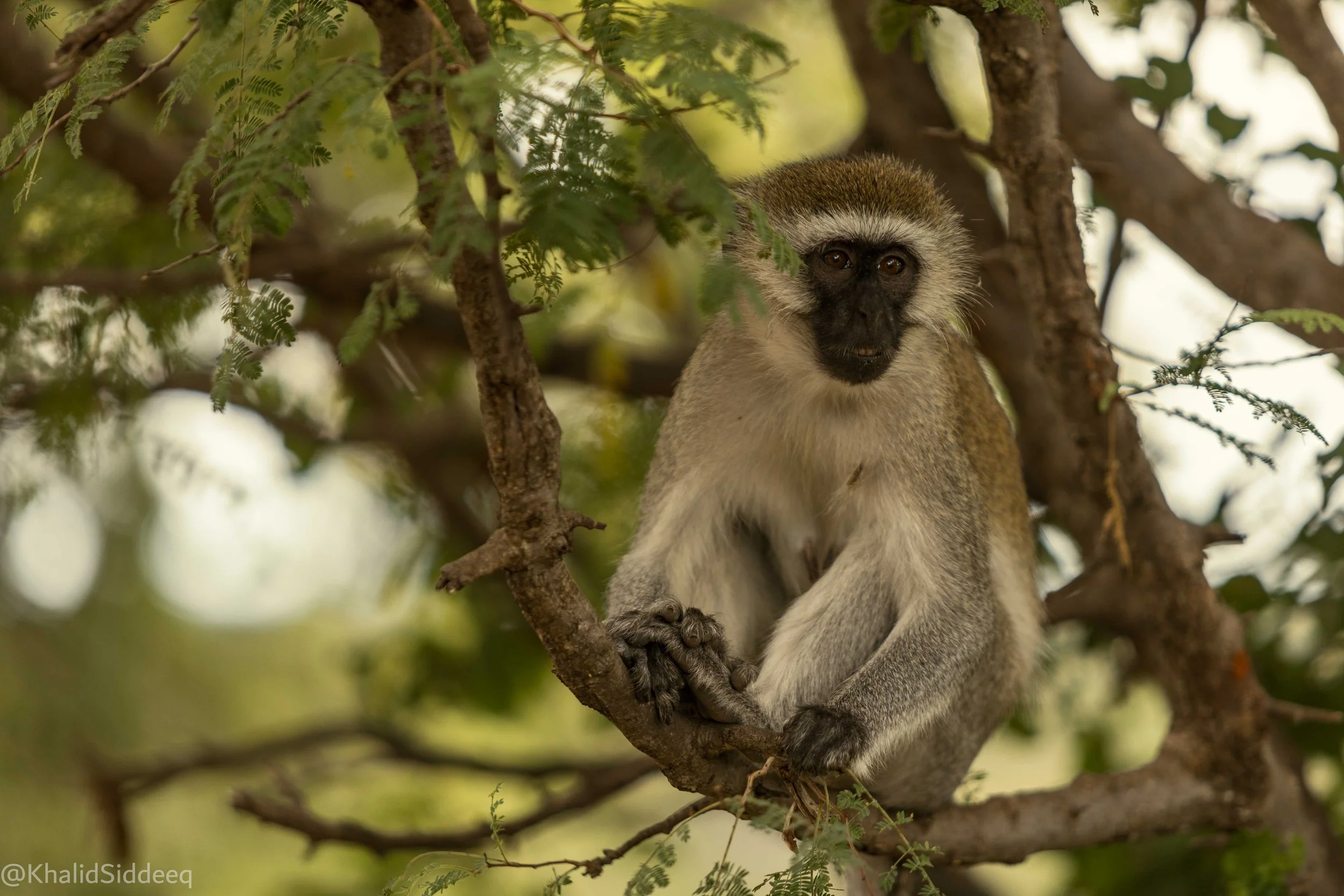 TanzaniaRights-70.jpg