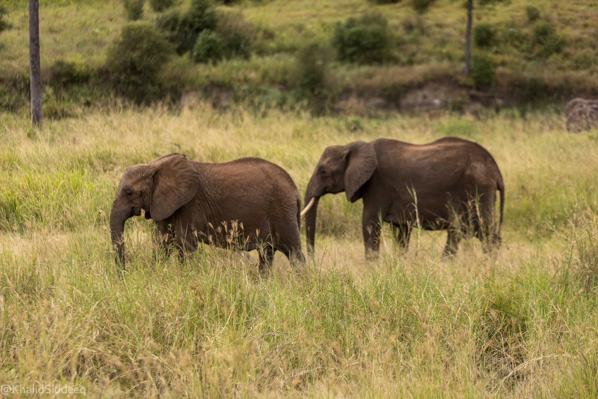 TanzaniaRights-74.jpg