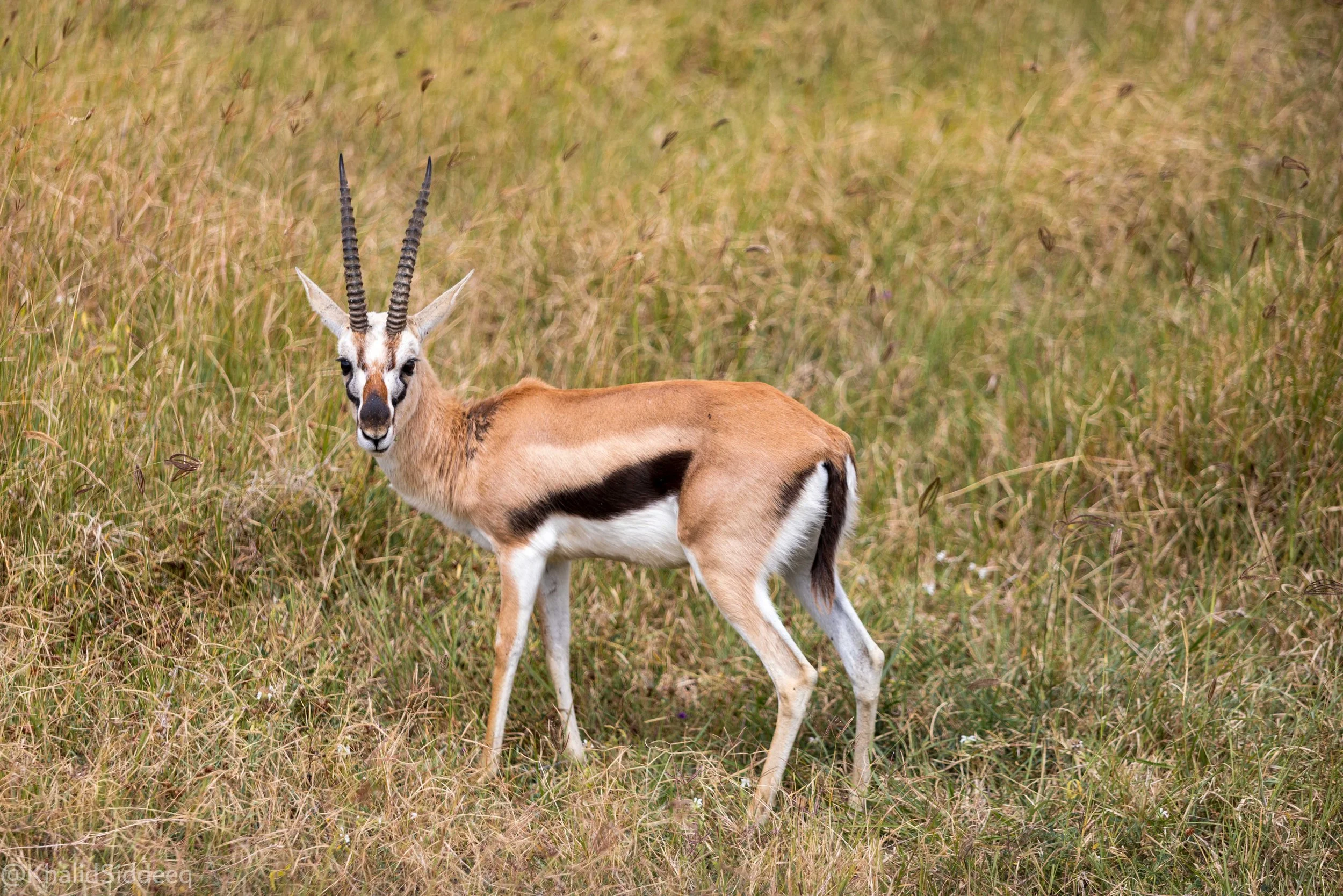 TanzaniaRights-91.jpg