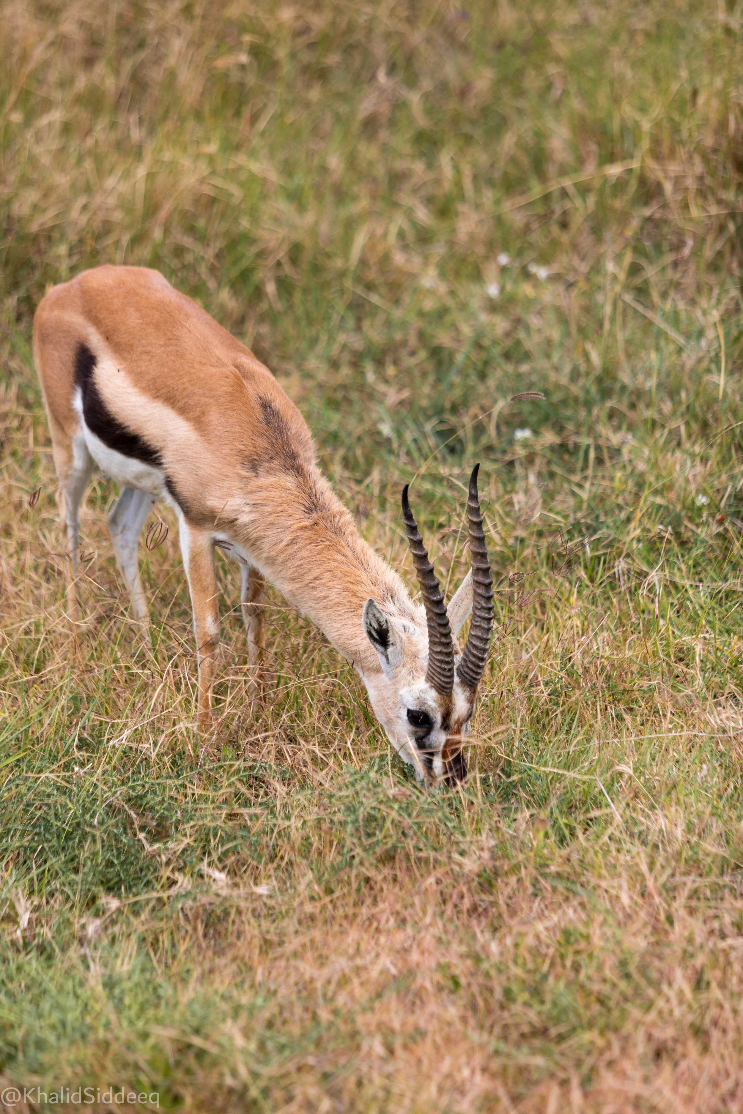 TanzaniaRights-92.jpg
