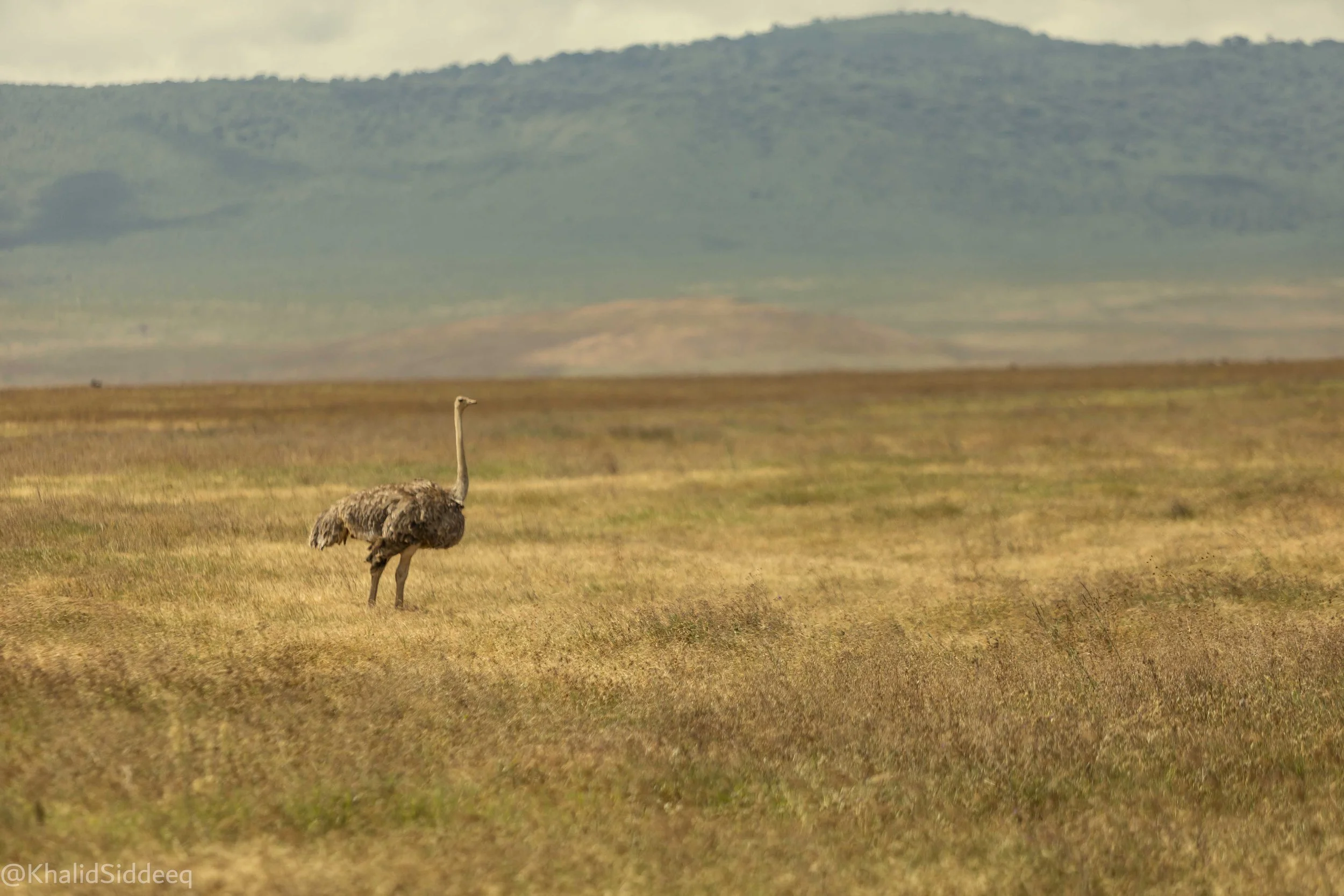TanzaniaRights-103.jpg