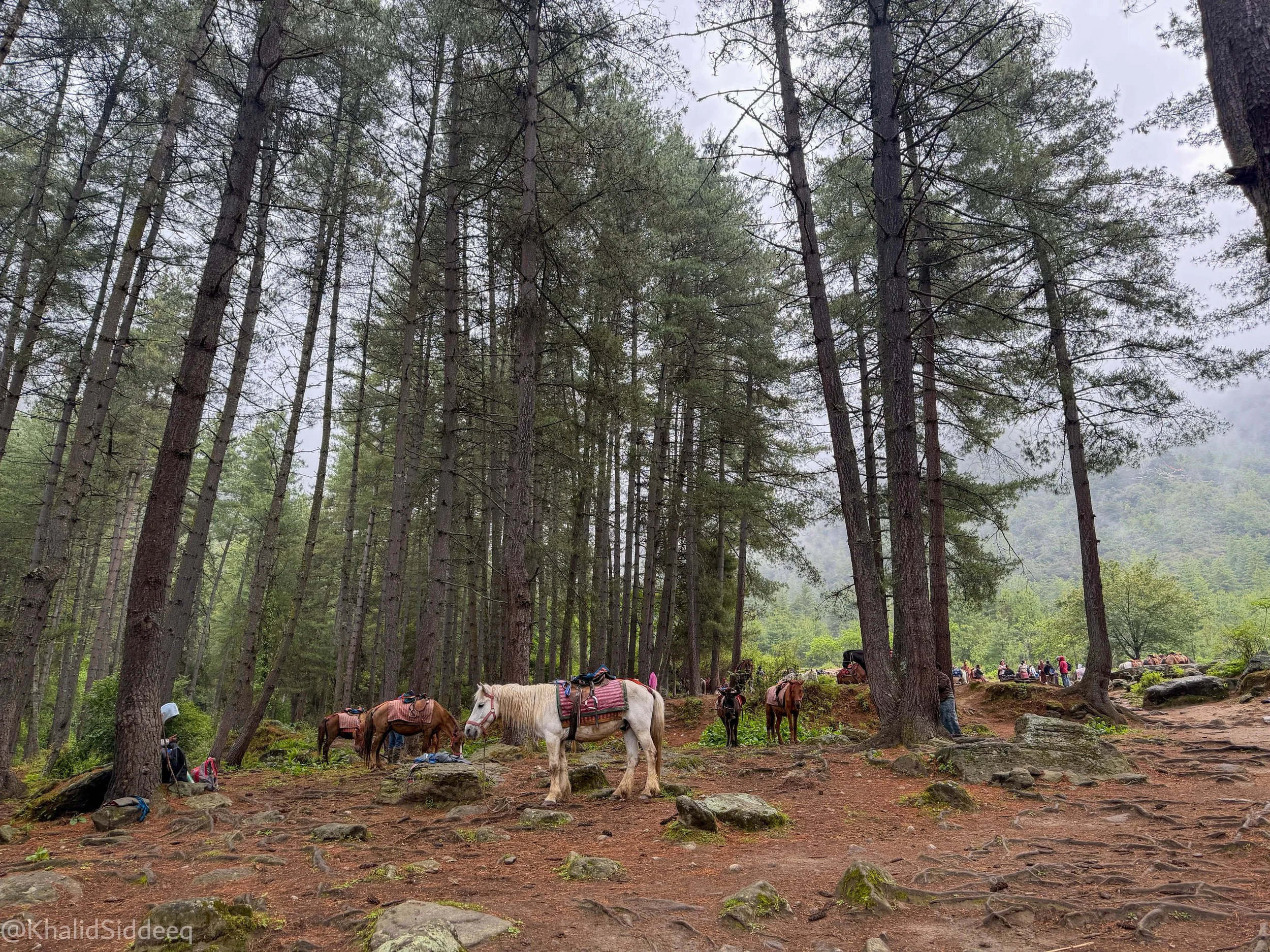 BhutanBlog-97.jpg