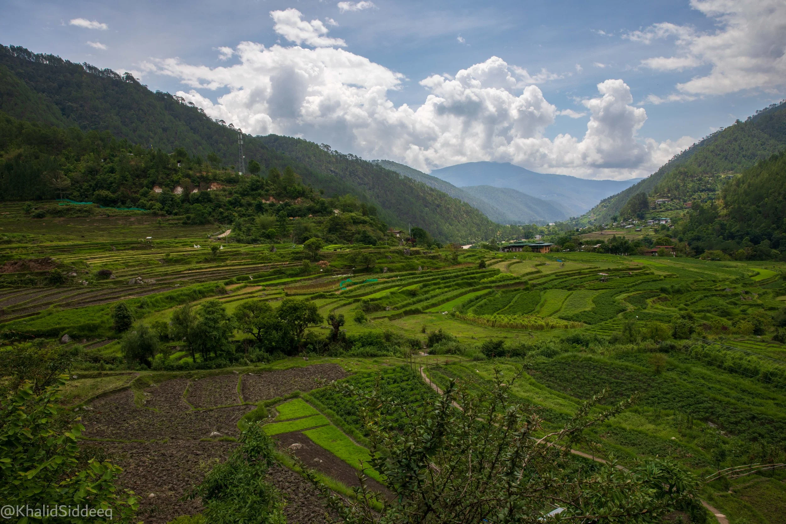 BhutanRight-25.jpg