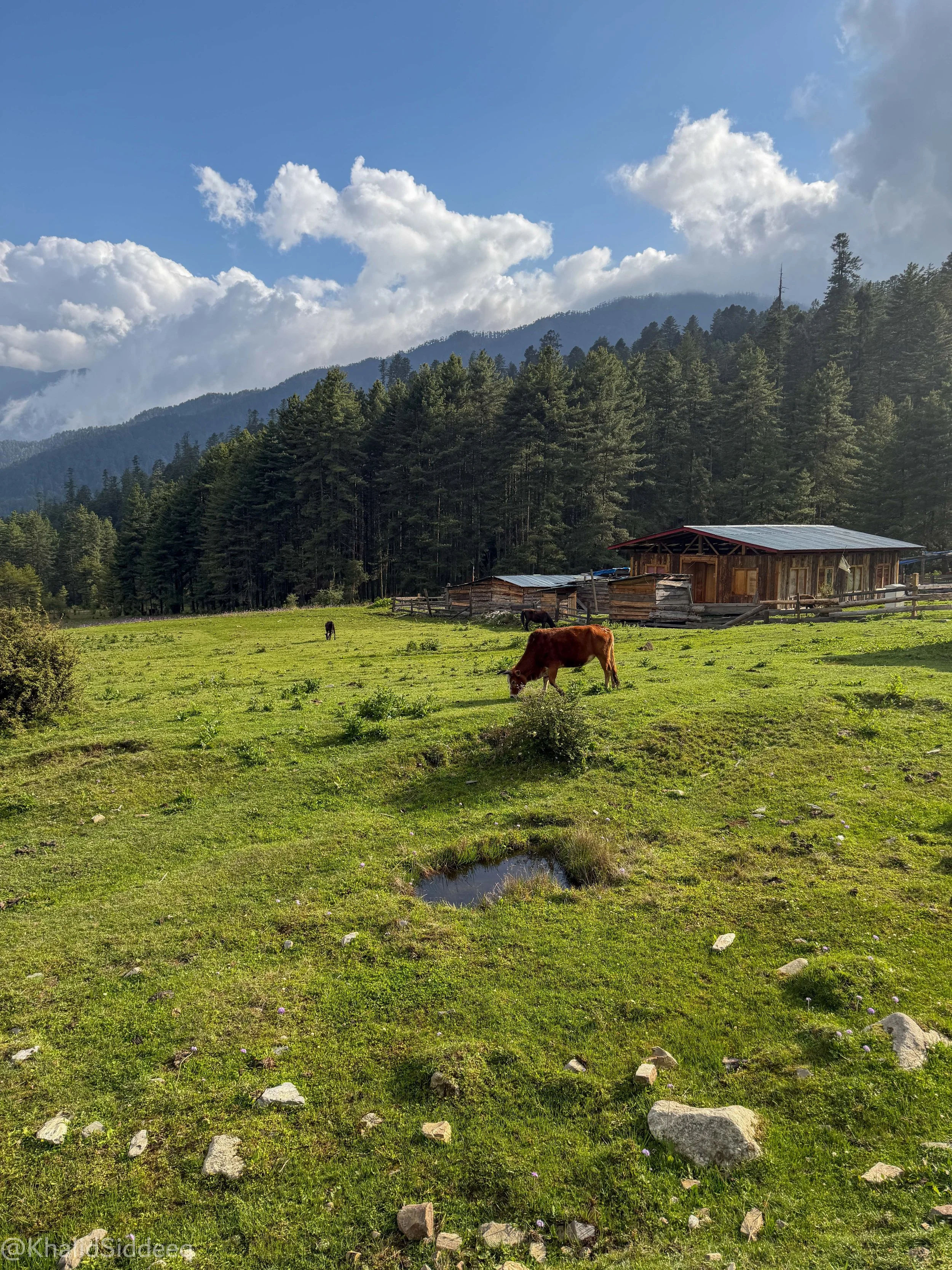 BhutanBlog-52.jpg