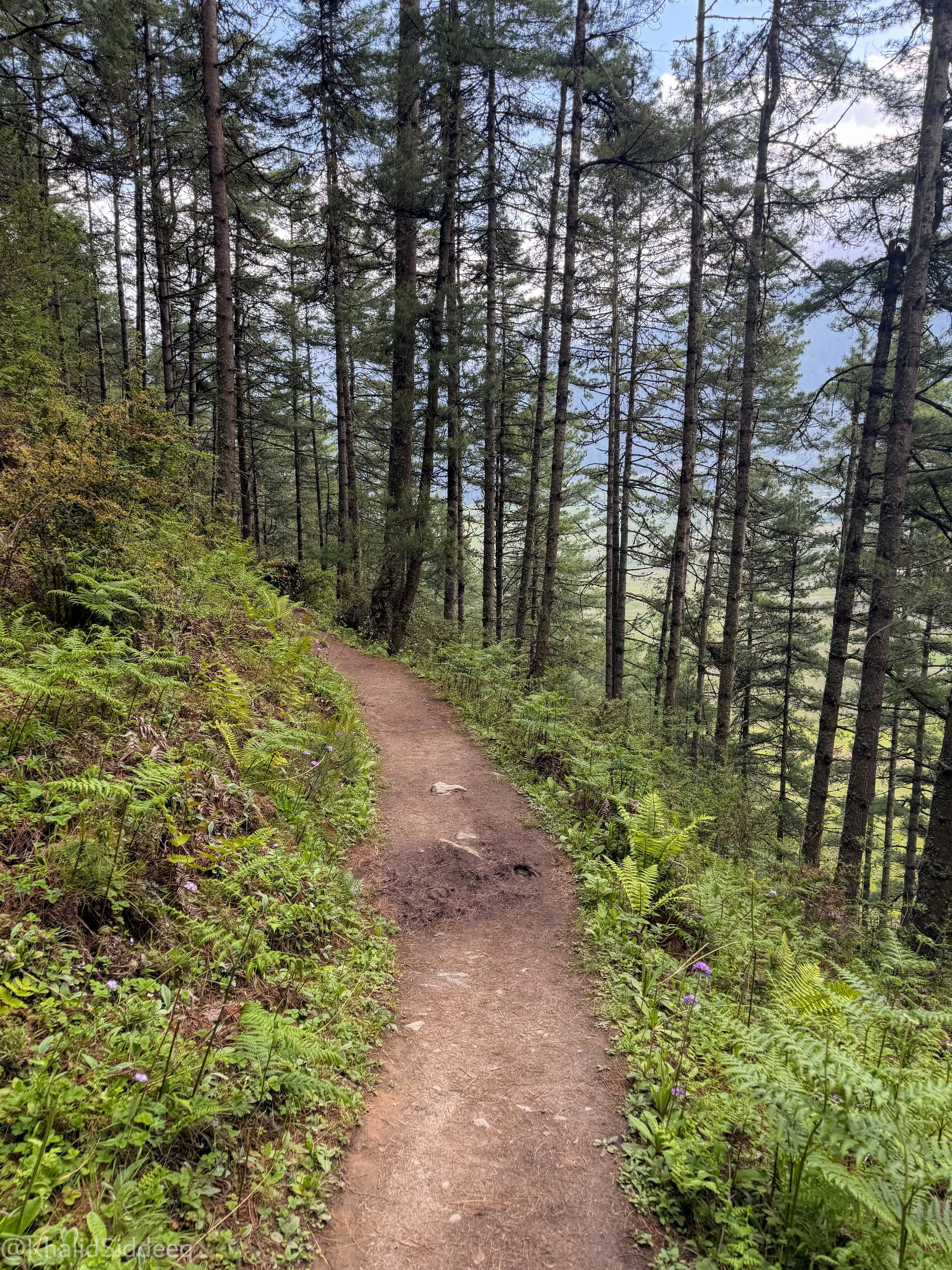 BhutanBlog-54.jpg
