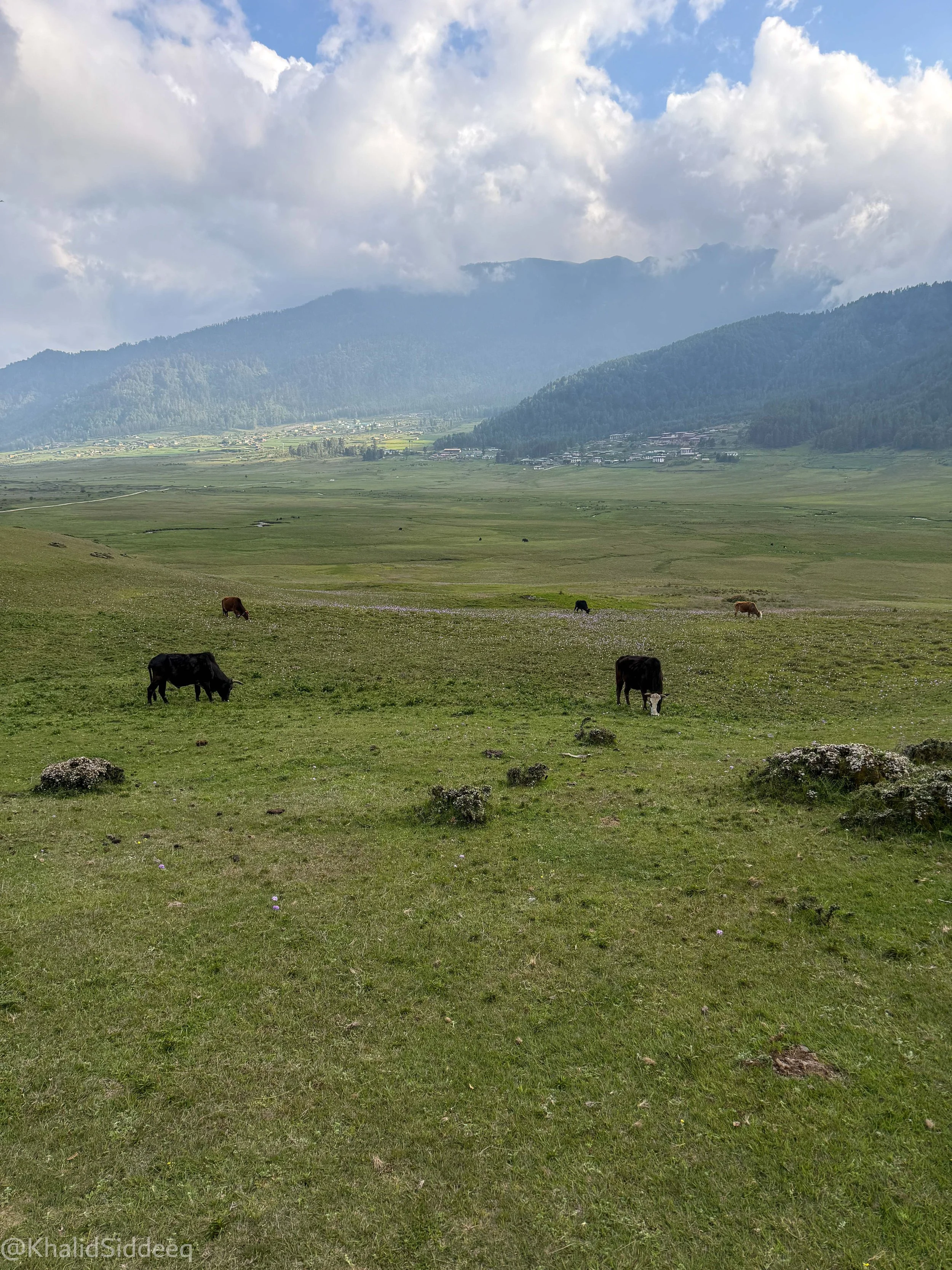 BhutanBlog-56.jpg