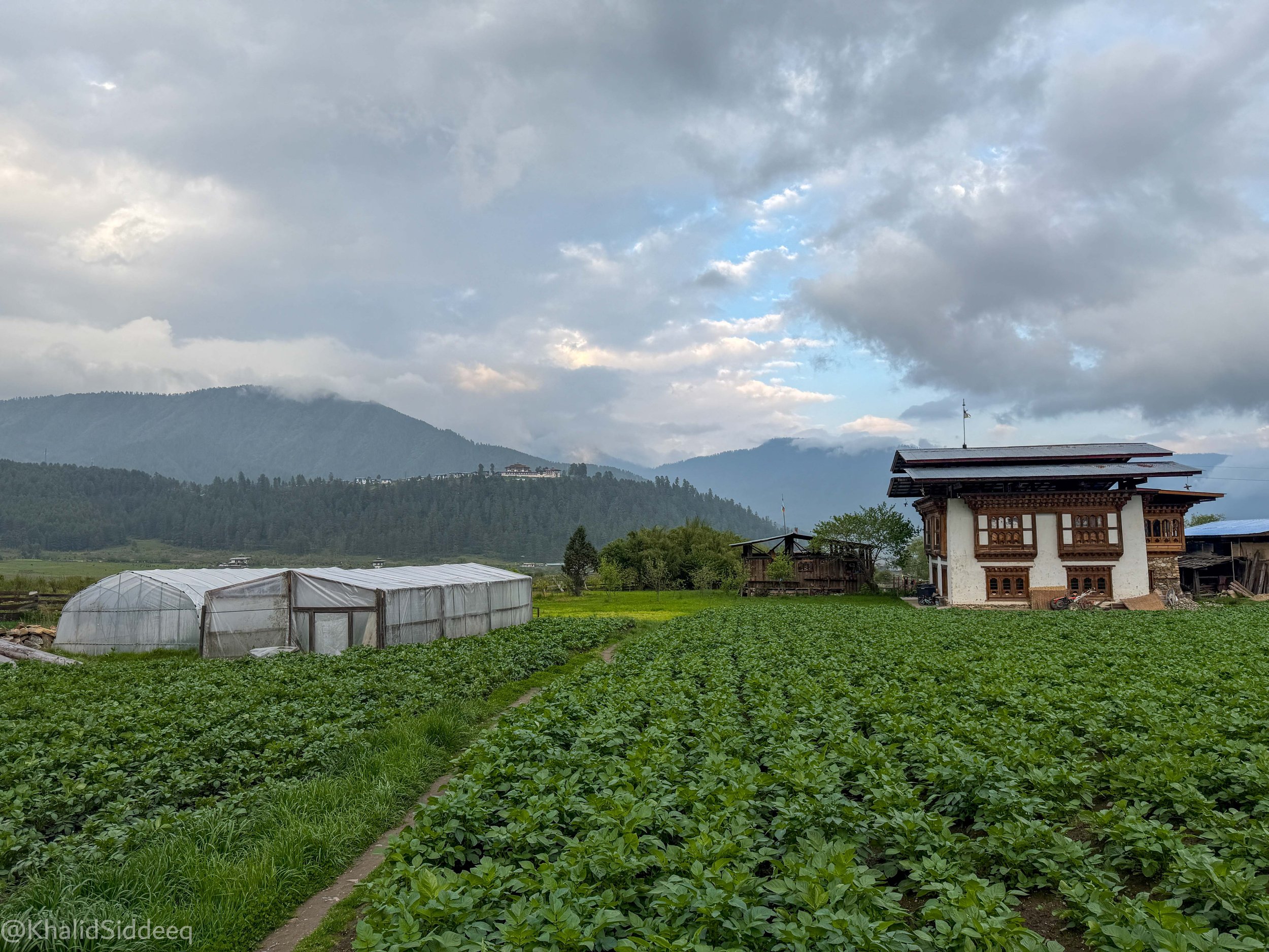 BhutanBlog-61.jpg
