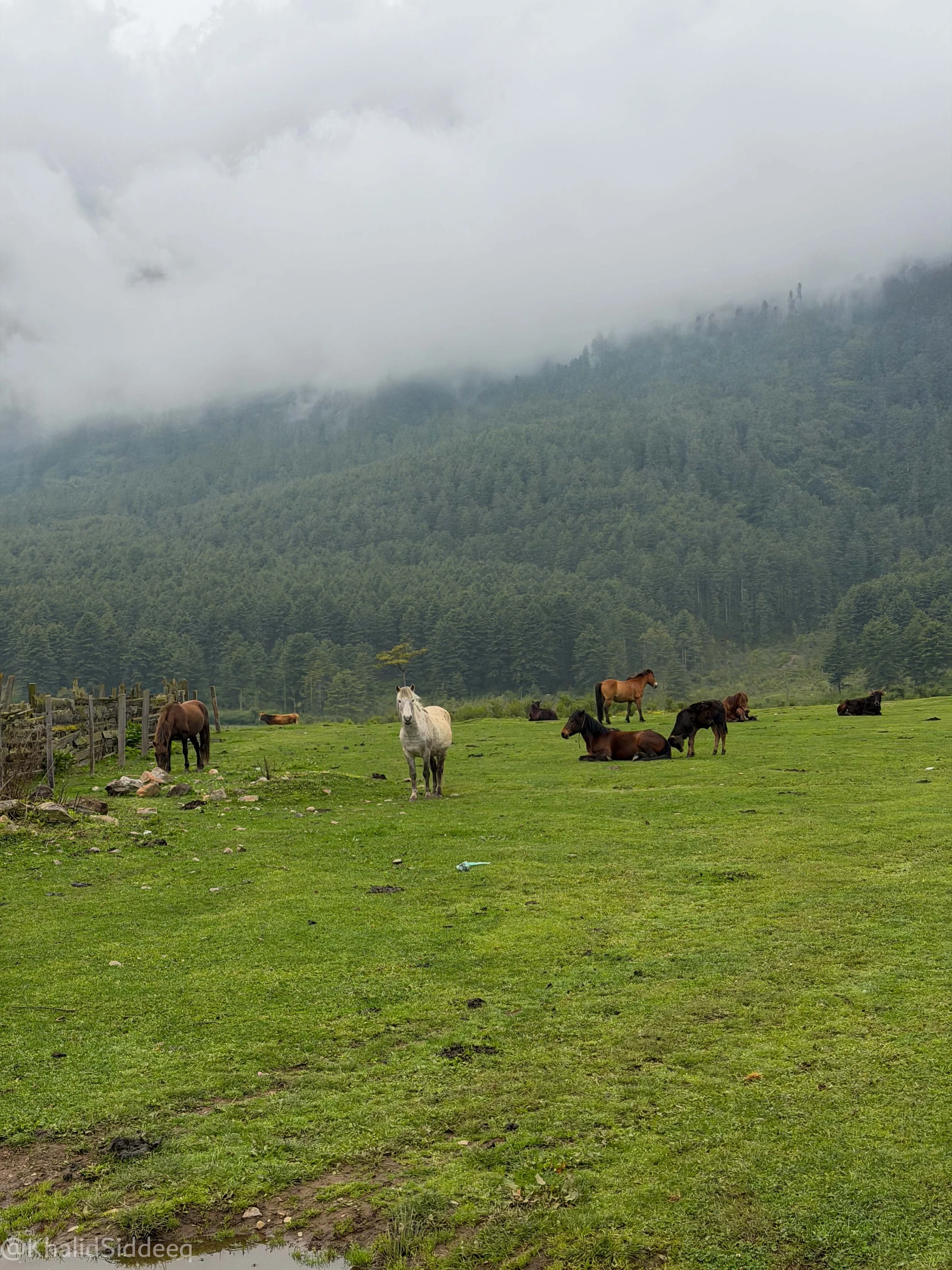 BhutanBlog-69.jpg