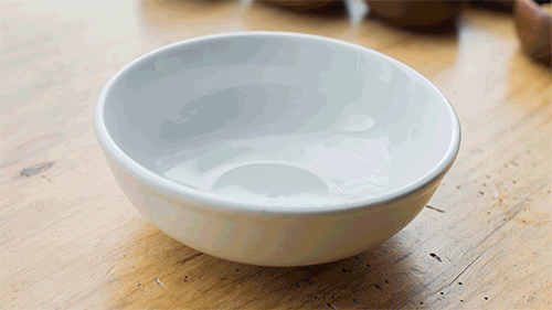 TimeLapseBowl_ani500.gif