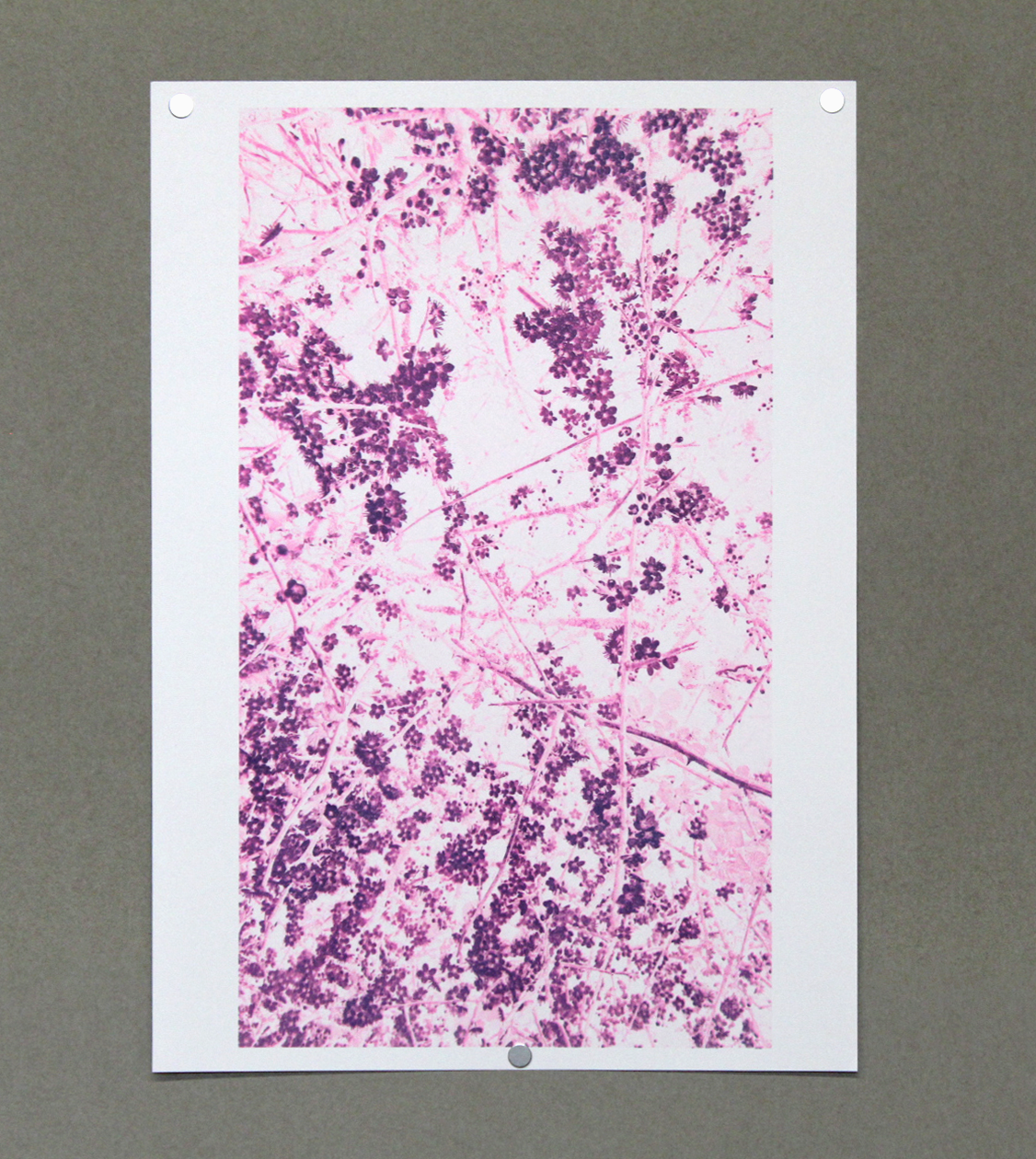 #001 Rhian Howells Hawthorn  @hotworks.studio.png