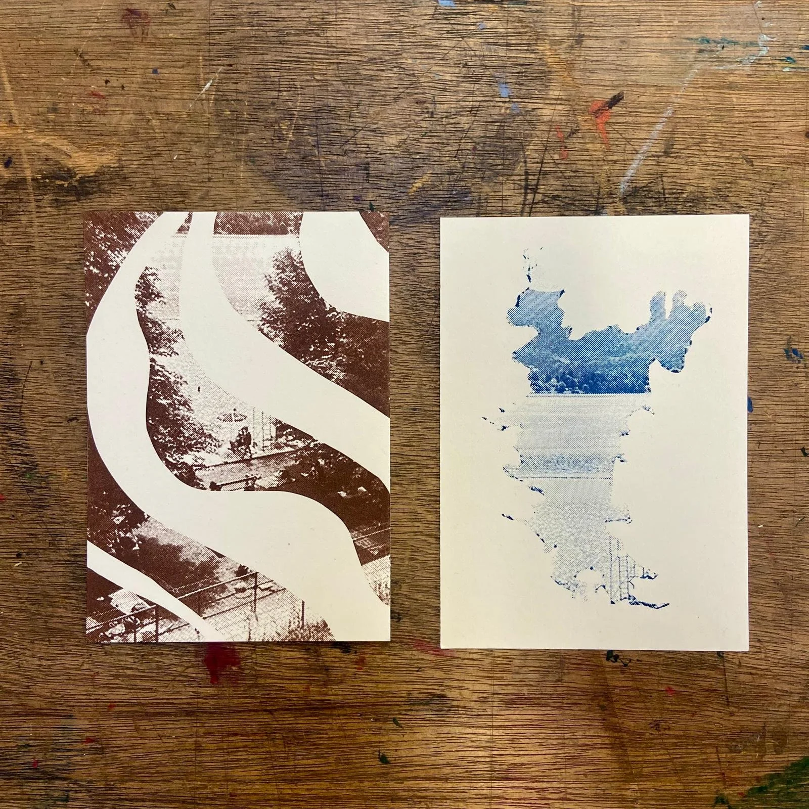 PHOTO-2026-02-03-22-42-38 copy.jpg