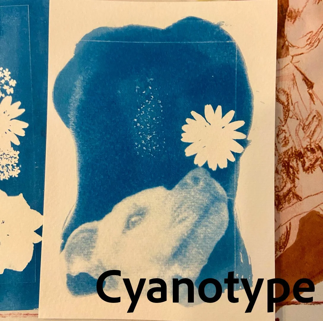 c-cyanotype.jpg