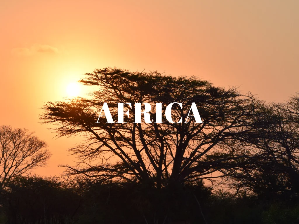 Tiles for website.003.jpeg