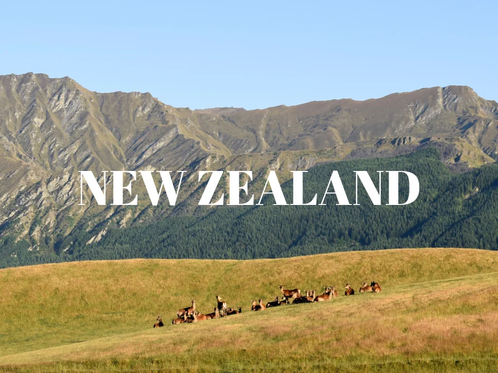 Tiles for website.008.jpeg