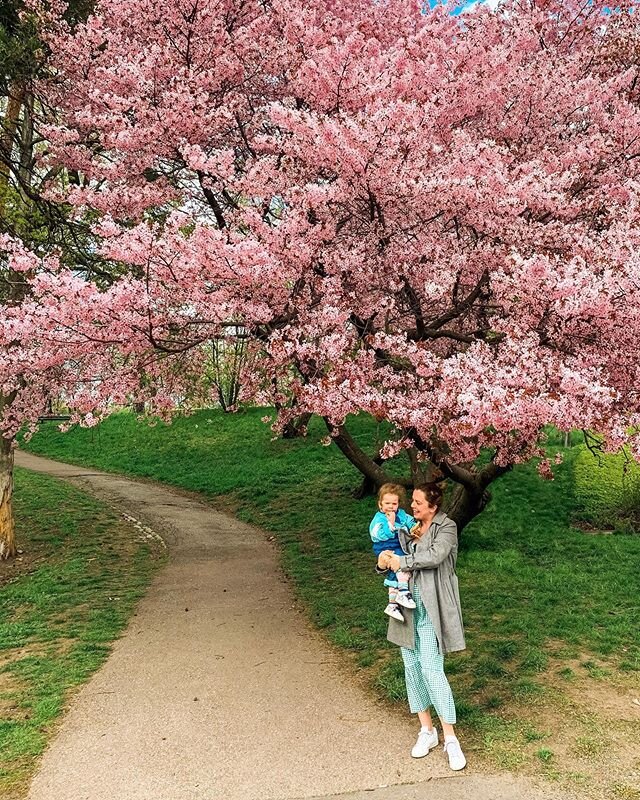 After many months of grey skies and rain, Spring is finally in full swing 🌸 #myhelsinki