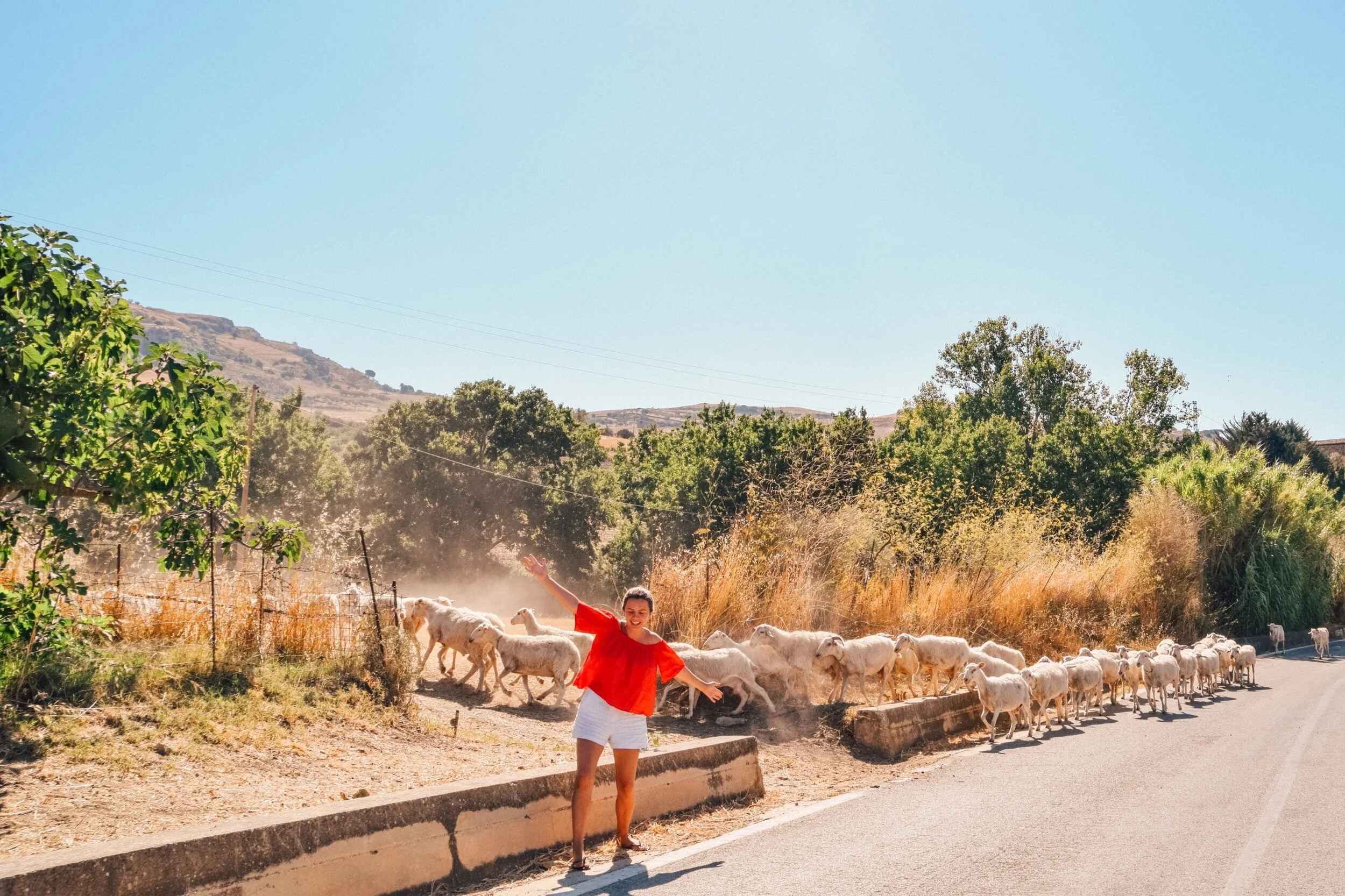  Countryside traffic jam 